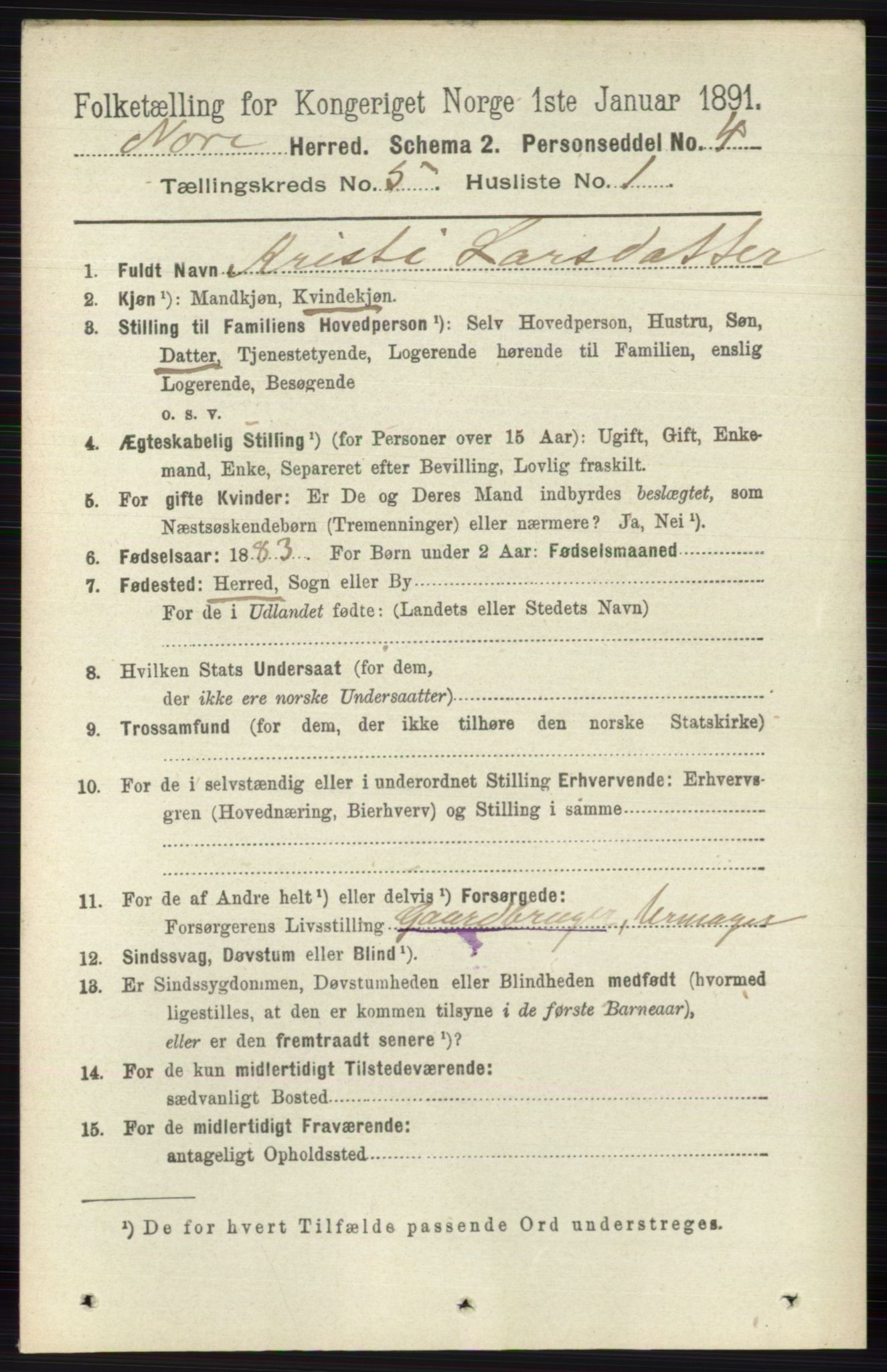 RA, 1891 census for 0633 Nore, 1891, p. 1567