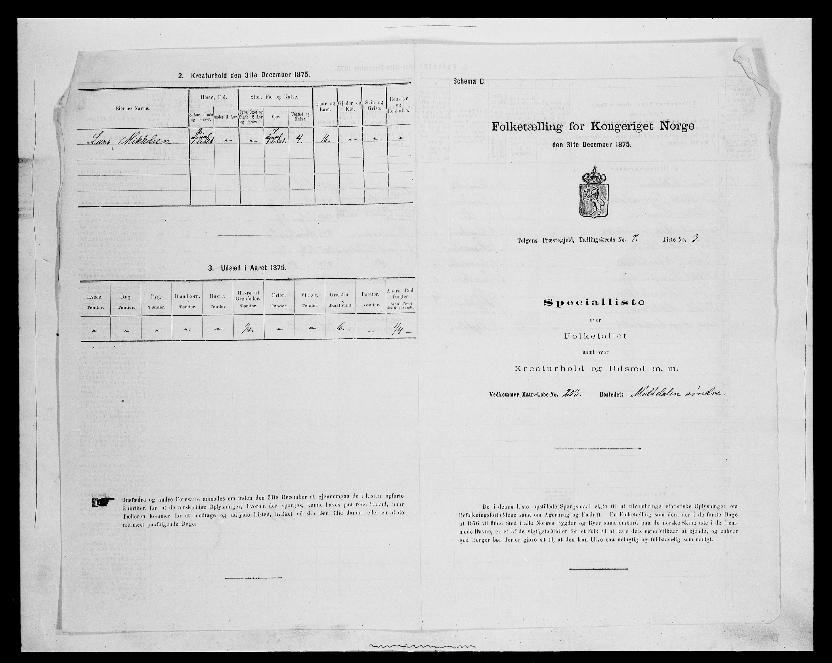 SAH, 1875 census for 0436P Tolga, 1875, p. 699