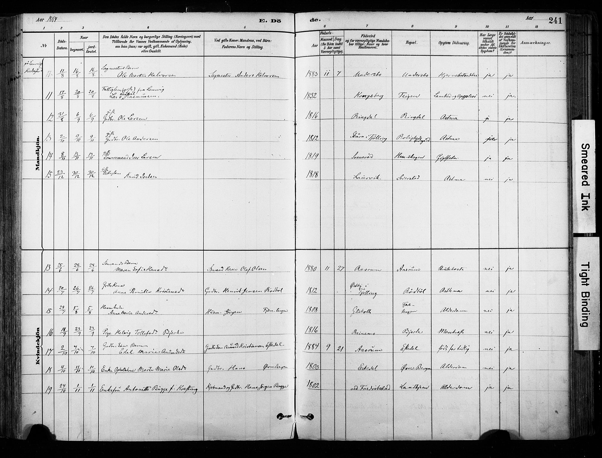 Hedrum kirkebøker, AV/SAKO-A-344/F/Fa/L0009: Parish register (official) no. I 9, 1881-1903, p. 241