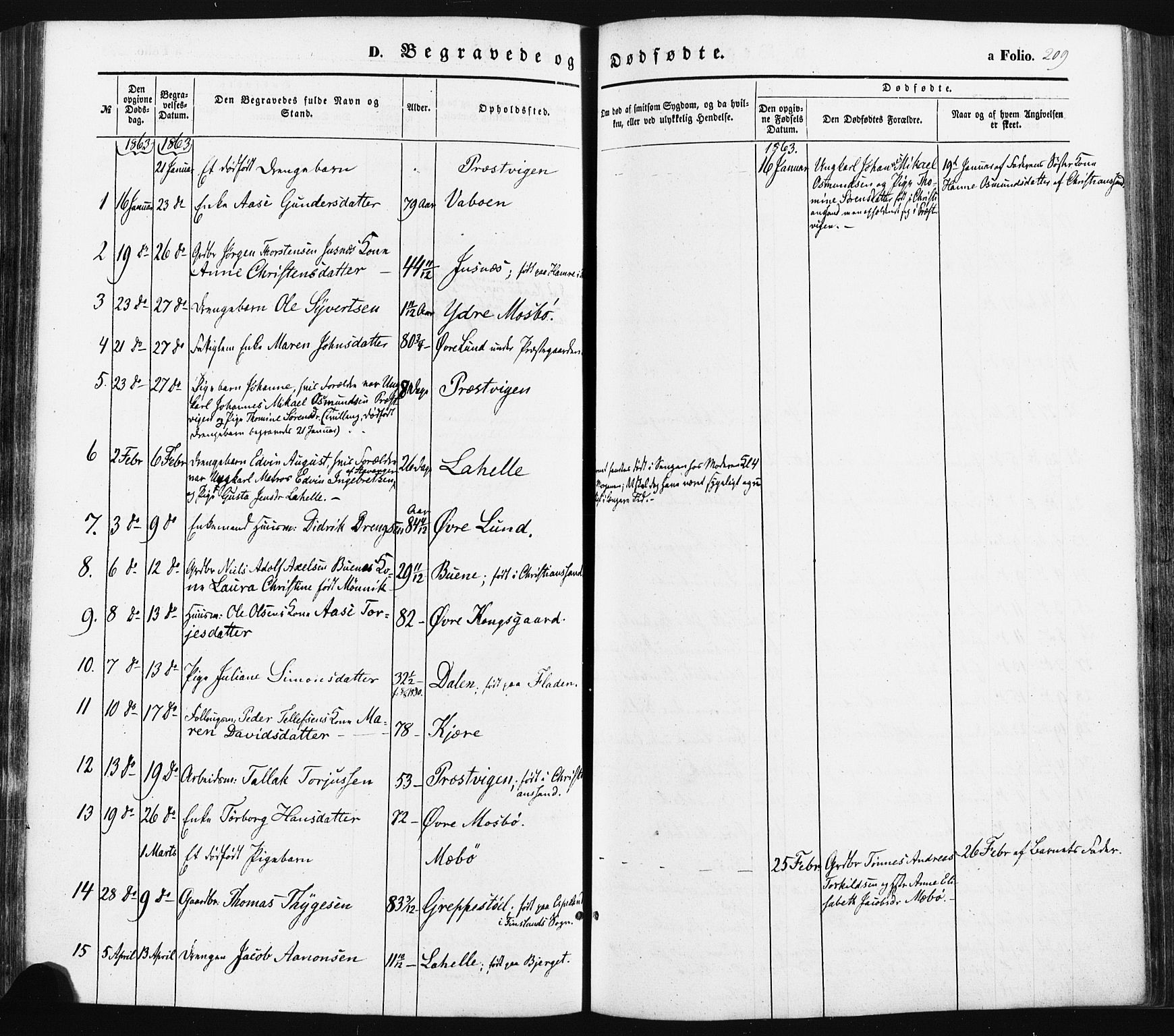 Oddernes sokneprestkontor, SAK/1111-0033/F/Fa/Faa/L0007: Parish register (official) no. A 7, 1851-1863, p. 209