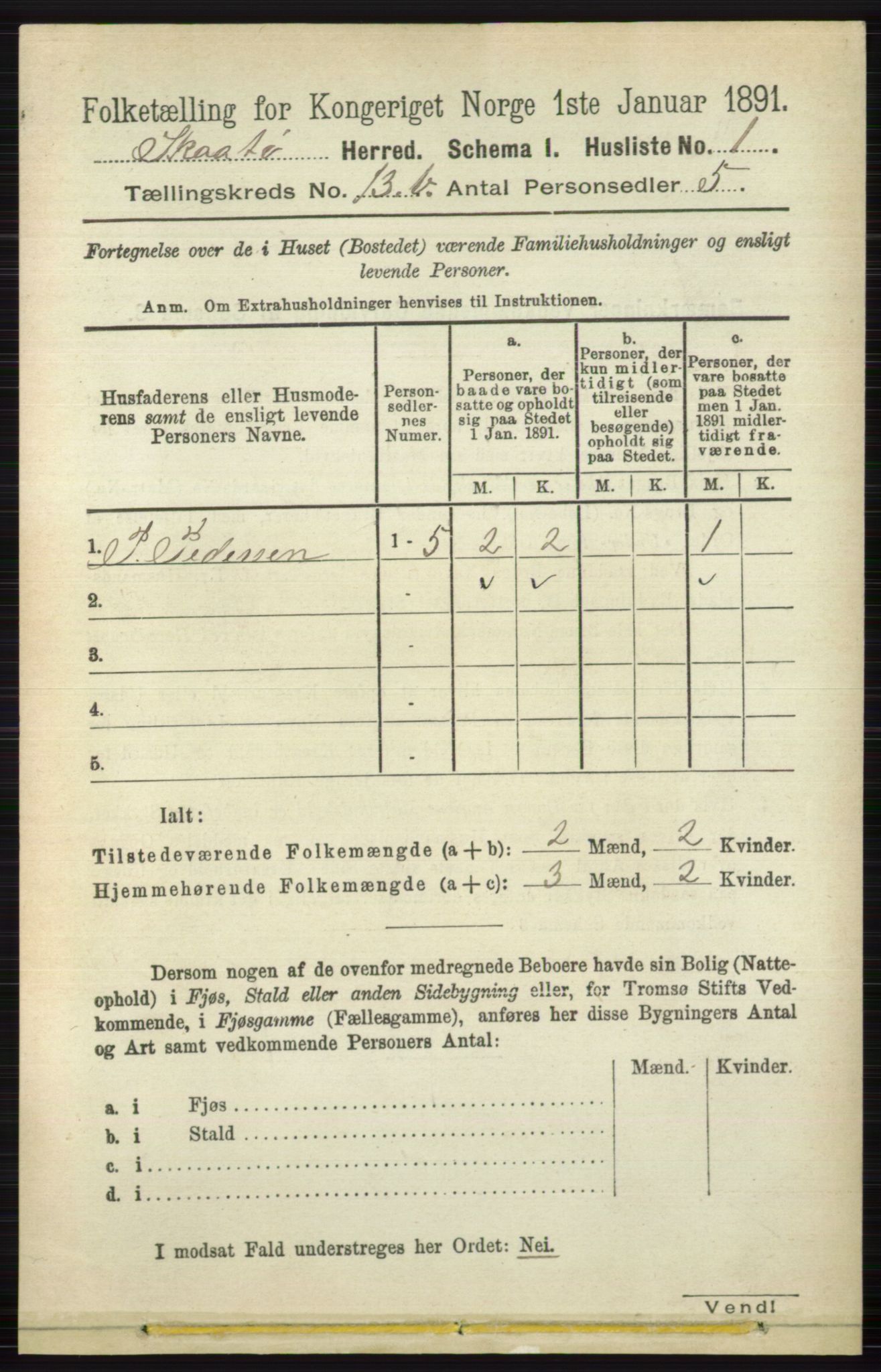 RA, 1891 census for 0815 Skåtøy, 1891, p. 4814