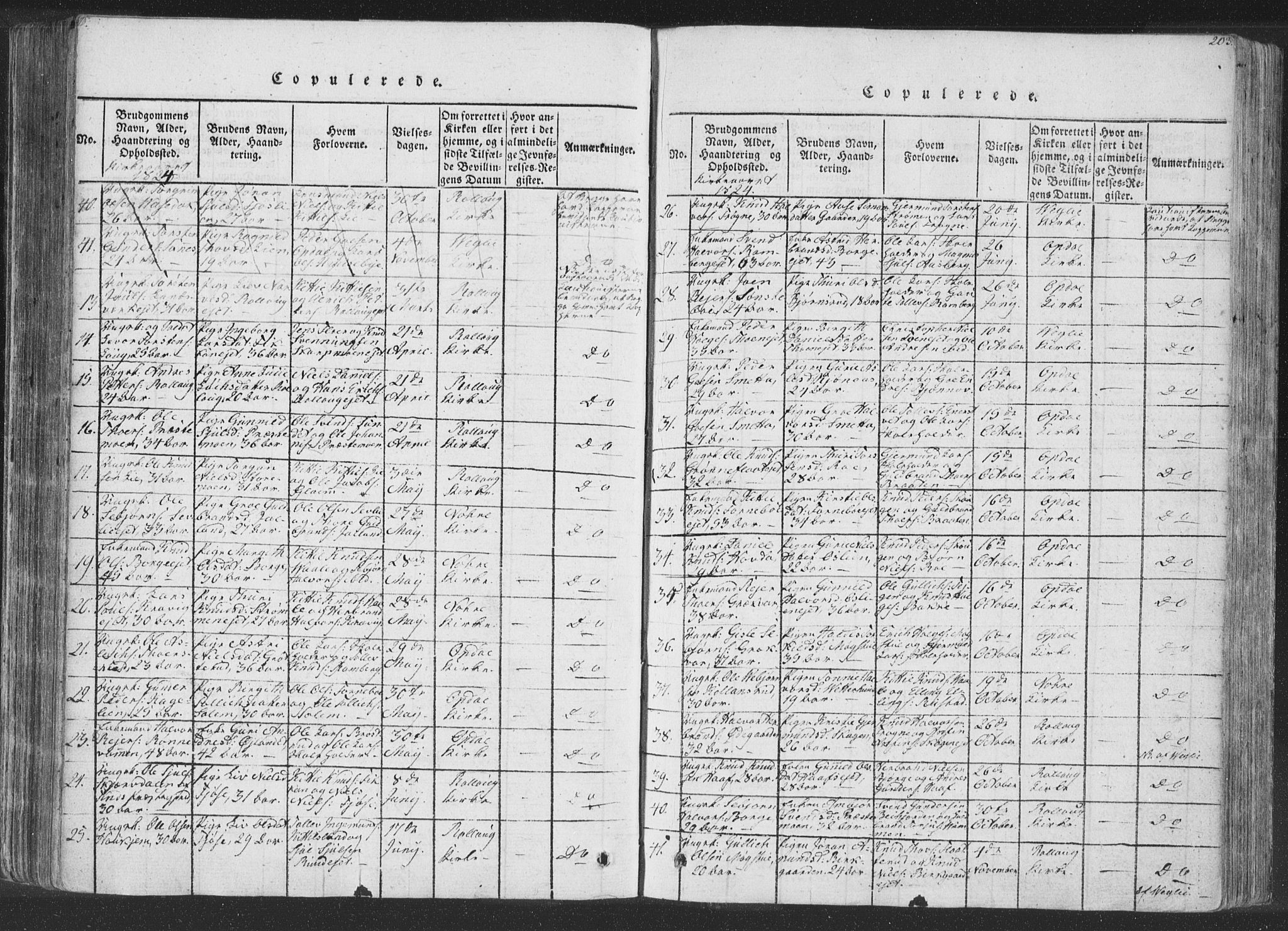 Rollag kirkebøker, AV/SAKO-A-240/F/Fa/L0006: Parish register (official) no. I 6, 1814-1828, p. 203