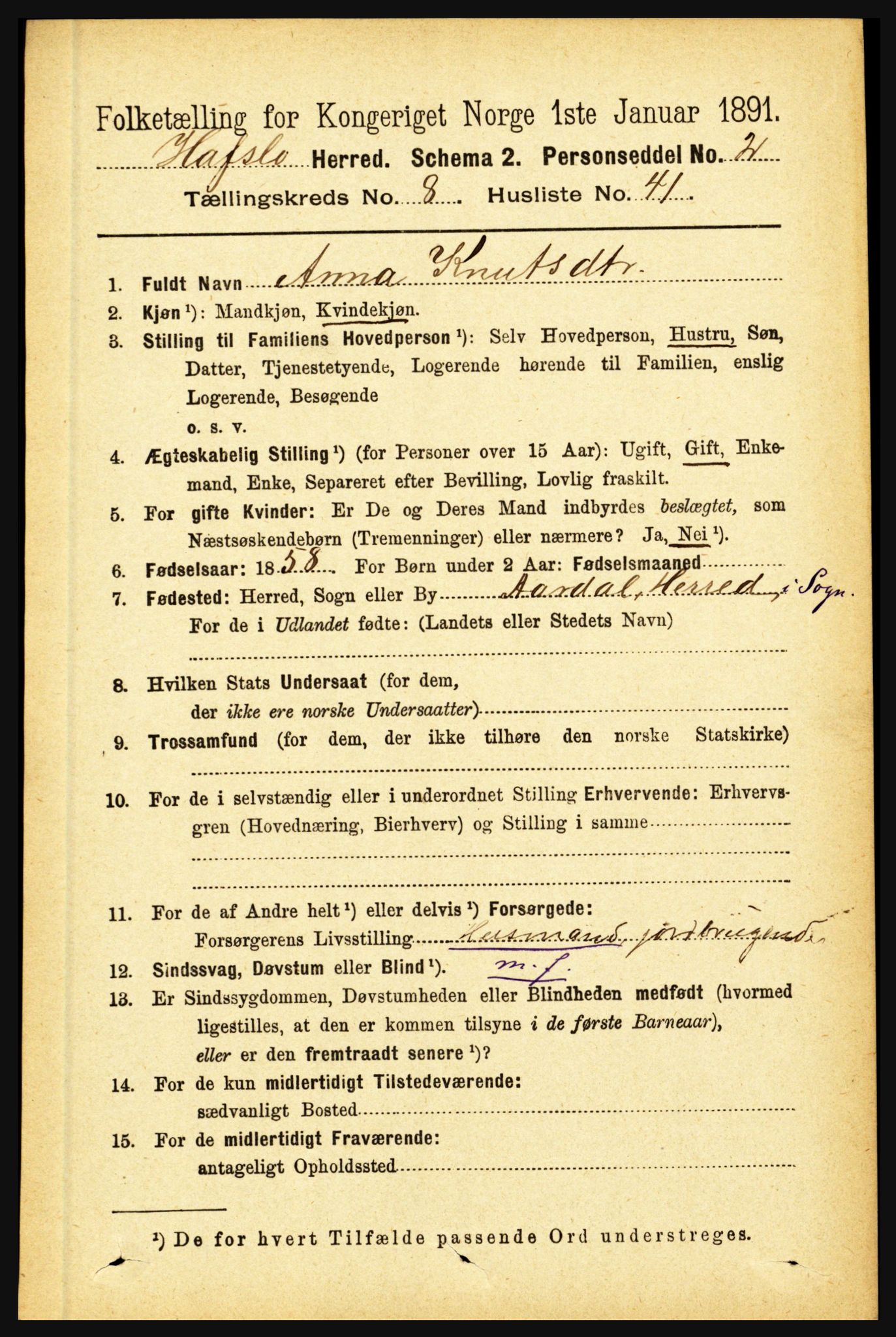 RA, 1891 census for 1425 Hafslo, 1891, p. 3392