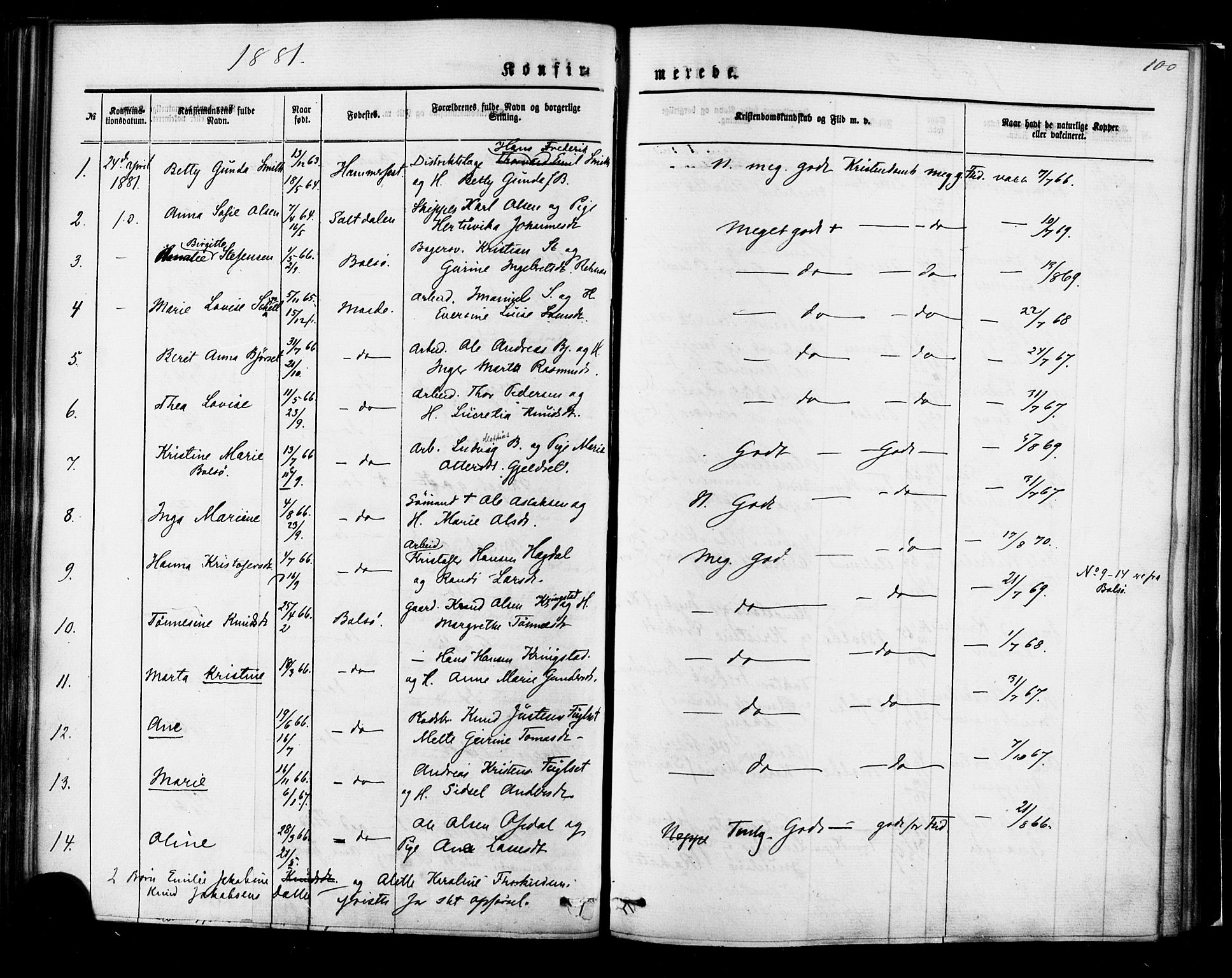 Ministerialprotokoller, klokkerbøker og fødselsregistre - Møre og Romsdal, SAT/A-1454/558/L0691: Parish register (official) no. 558A05, 1873-1886, p. 100