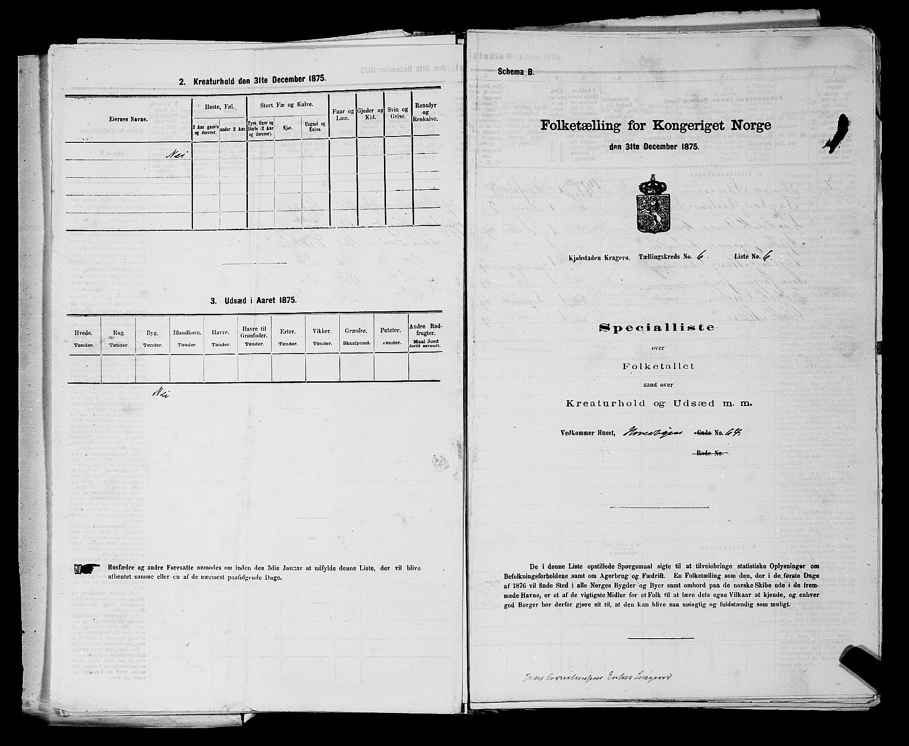 SAKO, 1875 census for 0801P Kragerø, 1875, p. 138