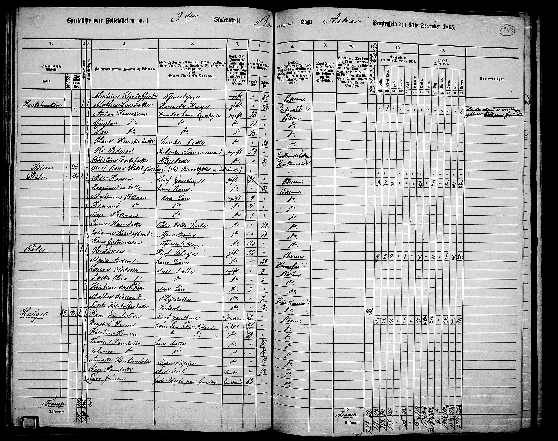 RA, 1865 census for Asker, 1865, p. 235