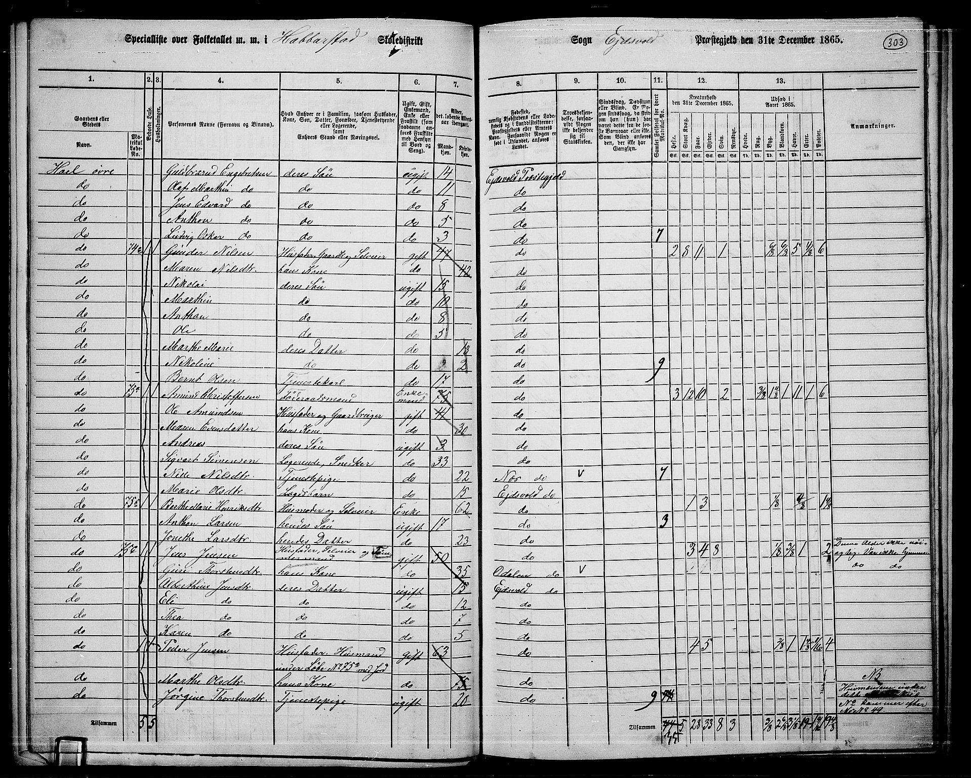 RA, 1865 census for Eidsvoll, 1865, p. 269