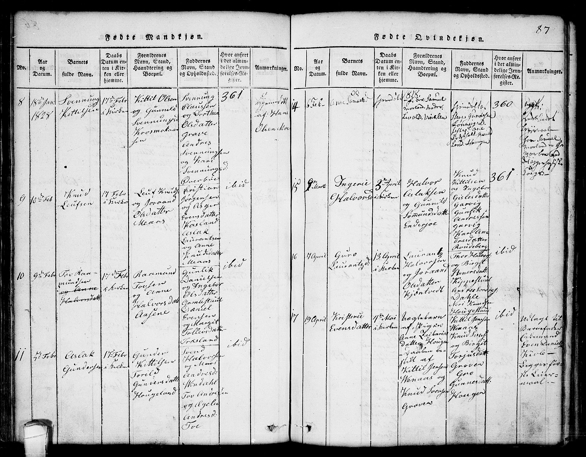 Seljord kirkebøker, SAKO/A-20/G/Ga/L0001: Parish register (copy) no. I 1, 1815-1854, p. 87