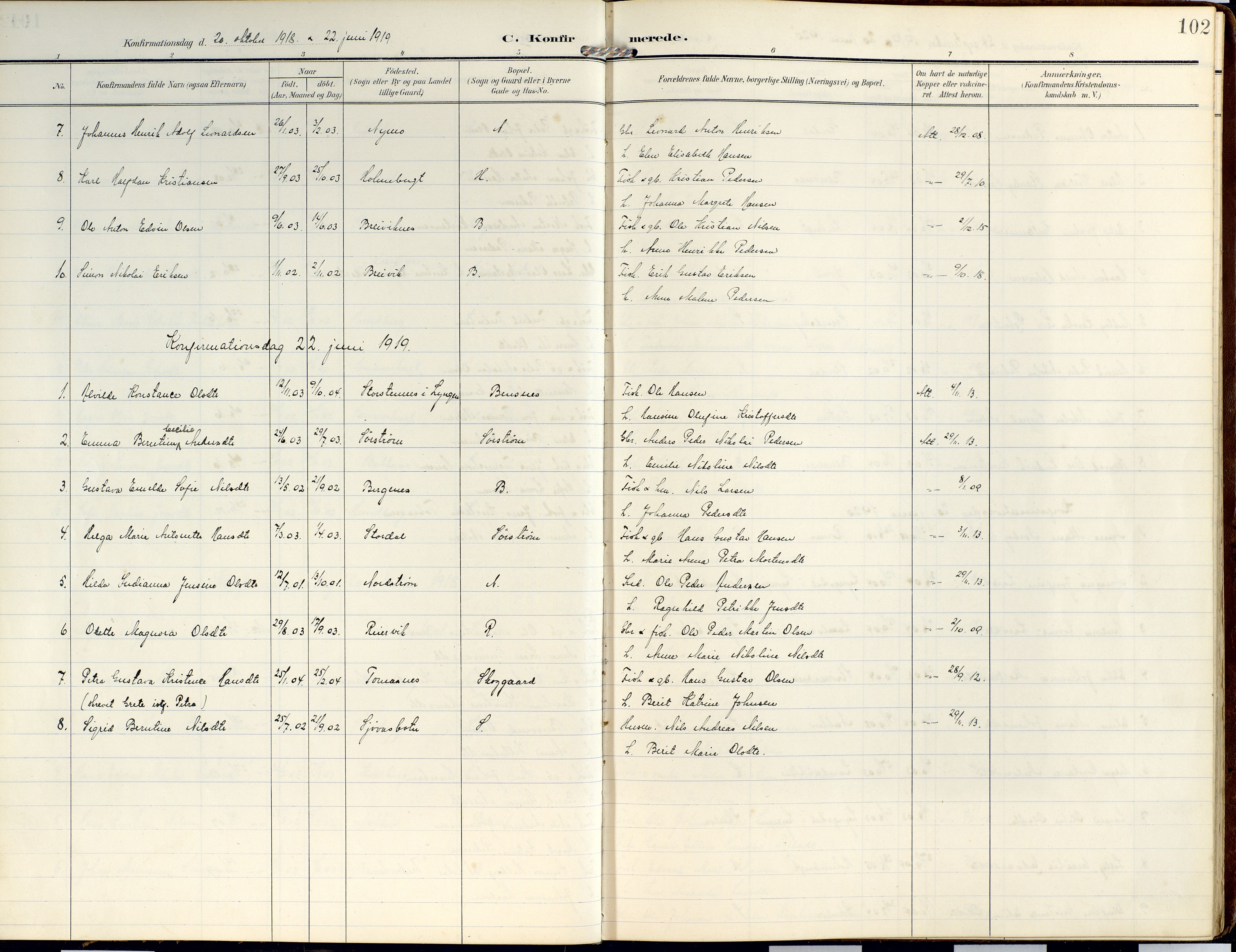 Lyngen sokneprestembete, AV/SATØ-S-1289/H/He/Hea/L0014kirke: Parish register (official) no. 14, 1905-1920, p. 102