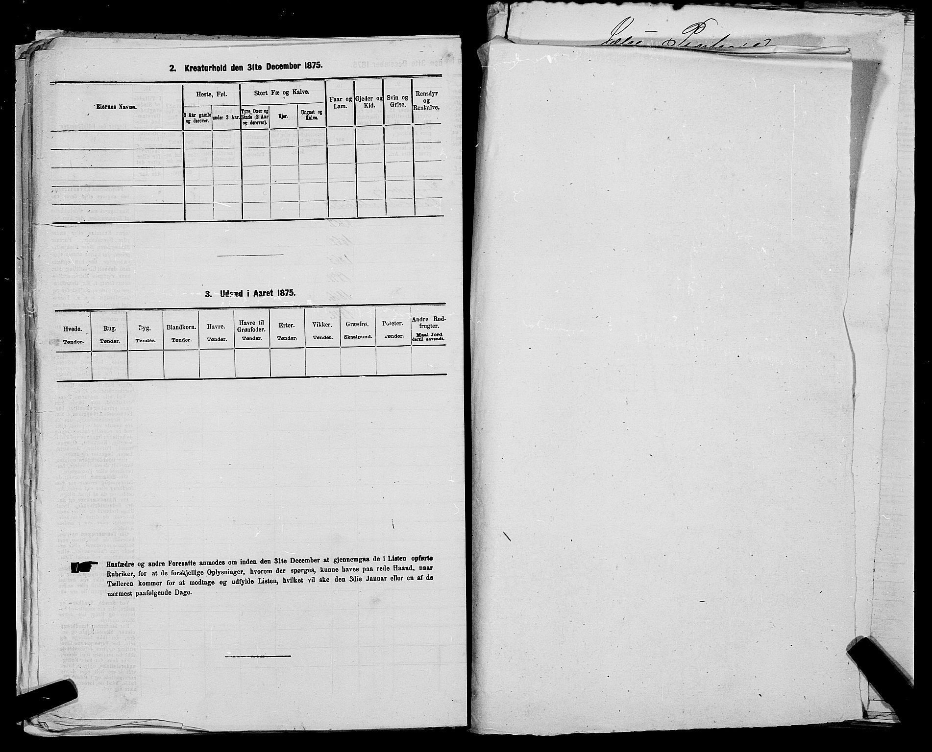 SAST, 1875 census for 1138P Jelsa, 1875, p. 183