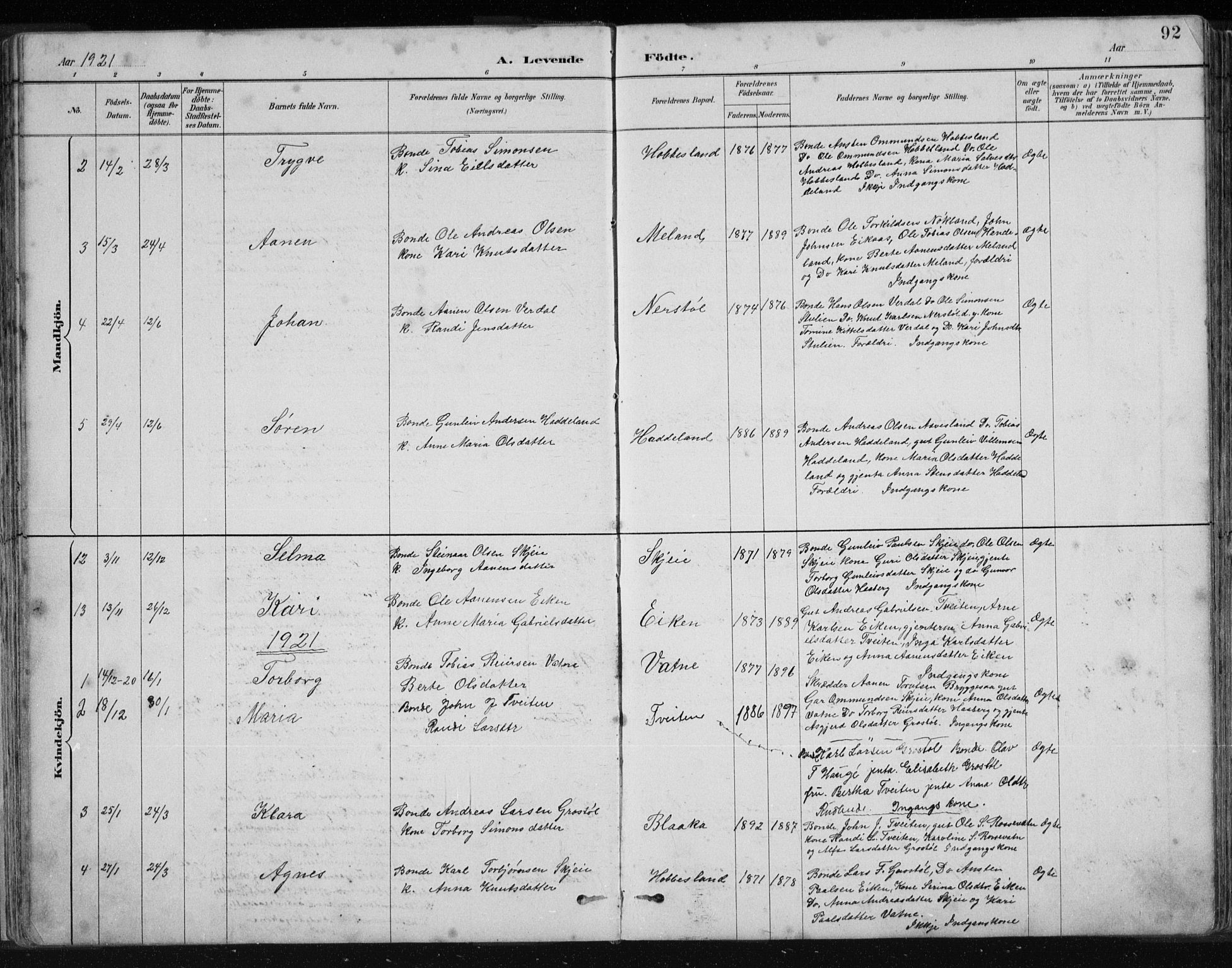 Hægebostad sokneprestkontor, SAK/1111-0024/F/Fb/Fbb/L0003: Parish register (copy) no. B 3, 1887-1937, p. 92