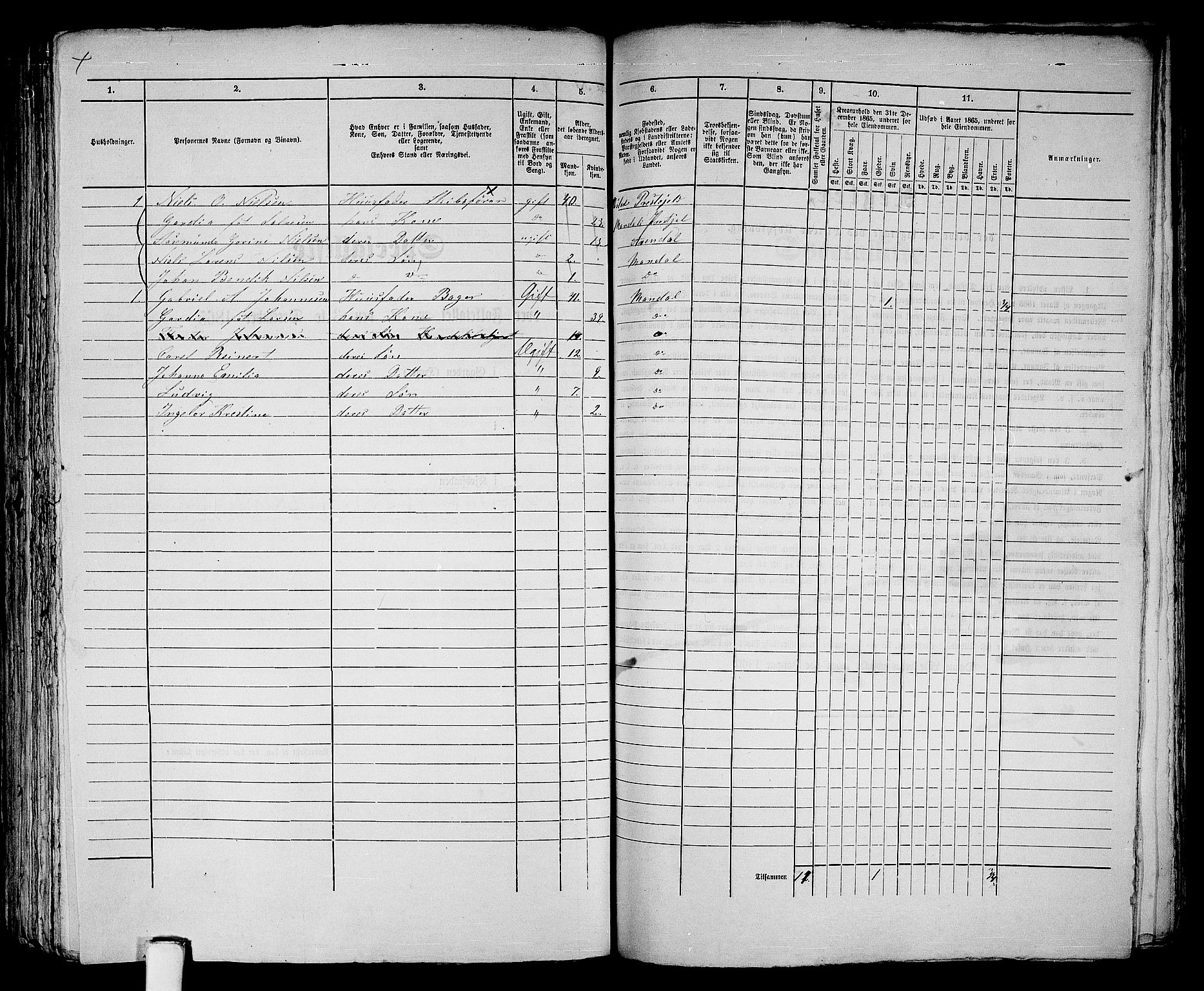 RA, 1865 census for Mandal/Mandal, 1865, p. 321