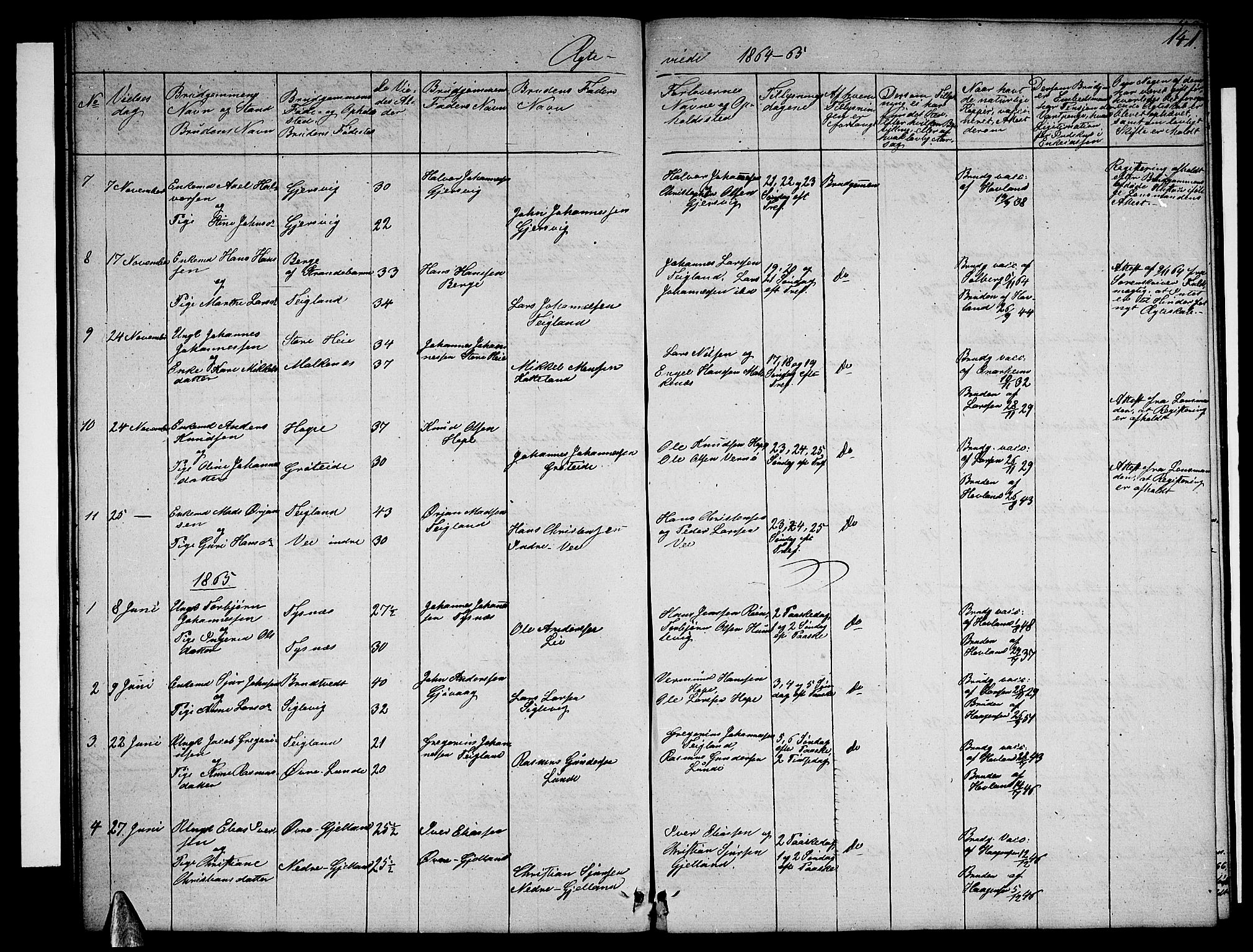 Tysnes sokneprestembete, SAB/A-78601/H/Hab: Parish register (copy) no. B 1, 1855-1877, p. 141