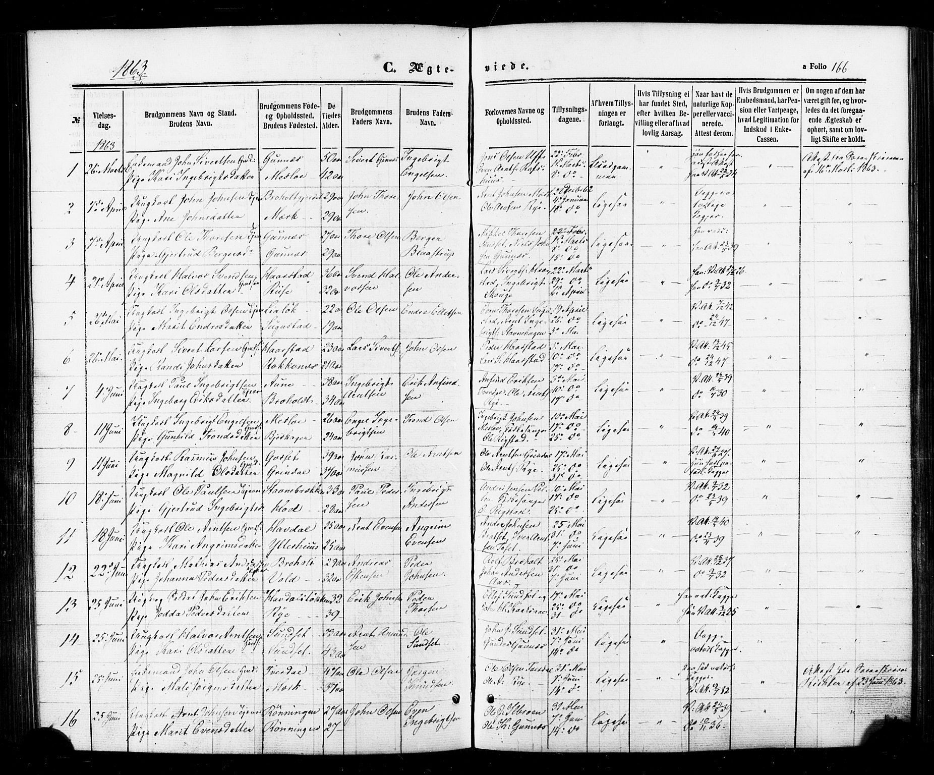 Ministerialprotokoller, klokkerbøker og fødselsregistre - Sør-Trøndelag, SAT/A-1456/674/L0870: Parish register (official) no. 674A02, 1861-1879, p. 166