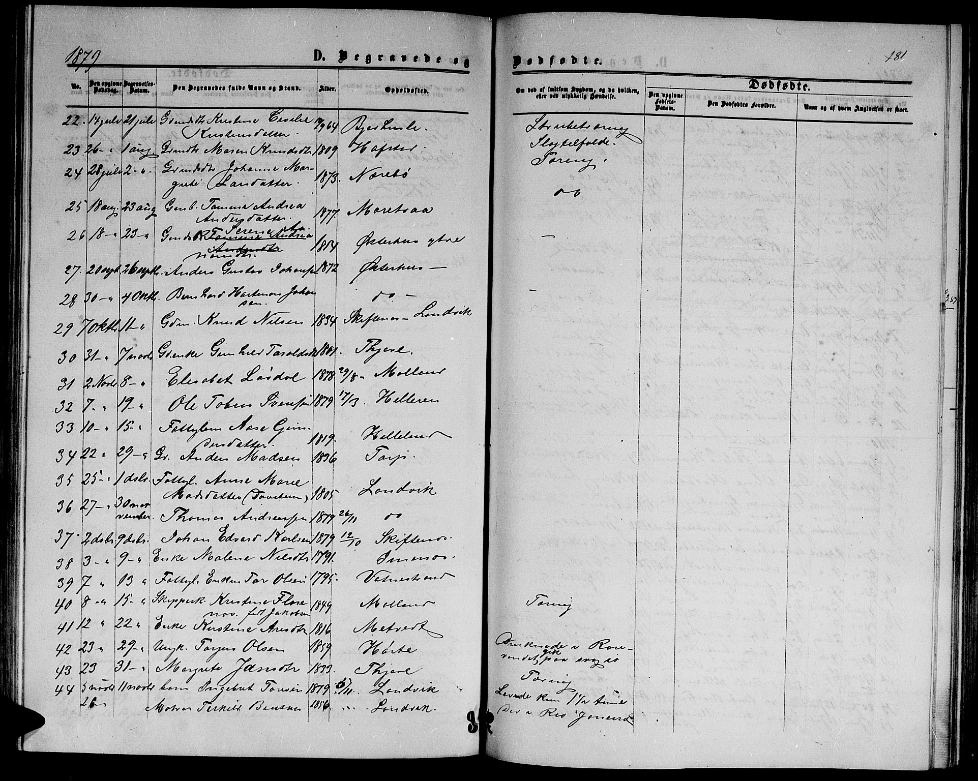 Hommedal sokneprestkontor, SAK/1111-0023/F/Fb/Fbb/L0006: Parish register (copy) no. B 6, 1869-1884, p. 181