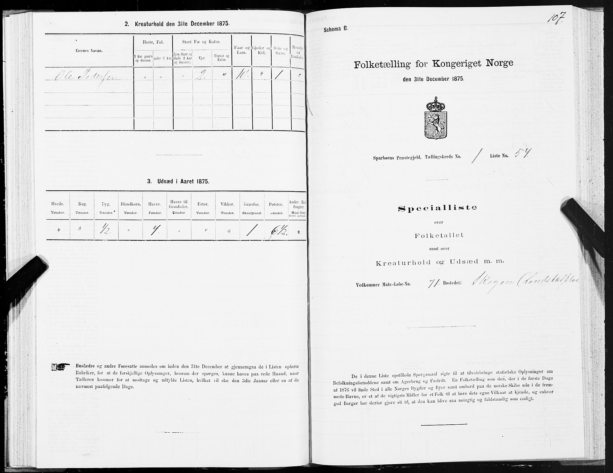 SAT, 1875 census for 1731P Sparbu, 1875, p. 1107