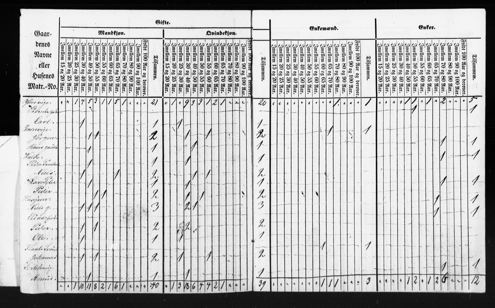 SAT, Census 1855 for Borgund, 1855, p. 42