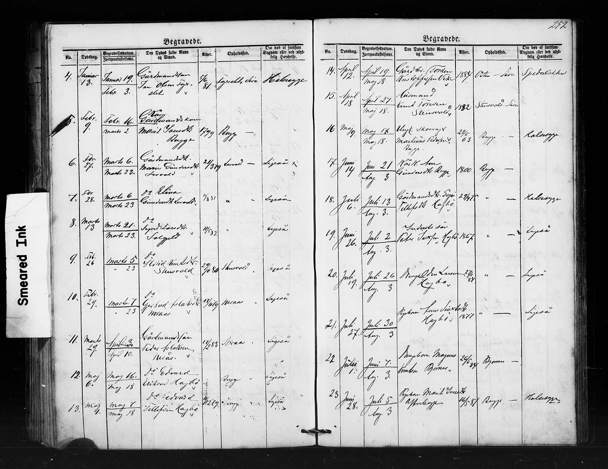 Ministerialprotokoller, klokkerbøker og fødselsregistre - Møre og Romsdal, AV/SAT-A-1454/552/L0638: Parish register (copy) no. 552C01, 1867-1902, p. 252