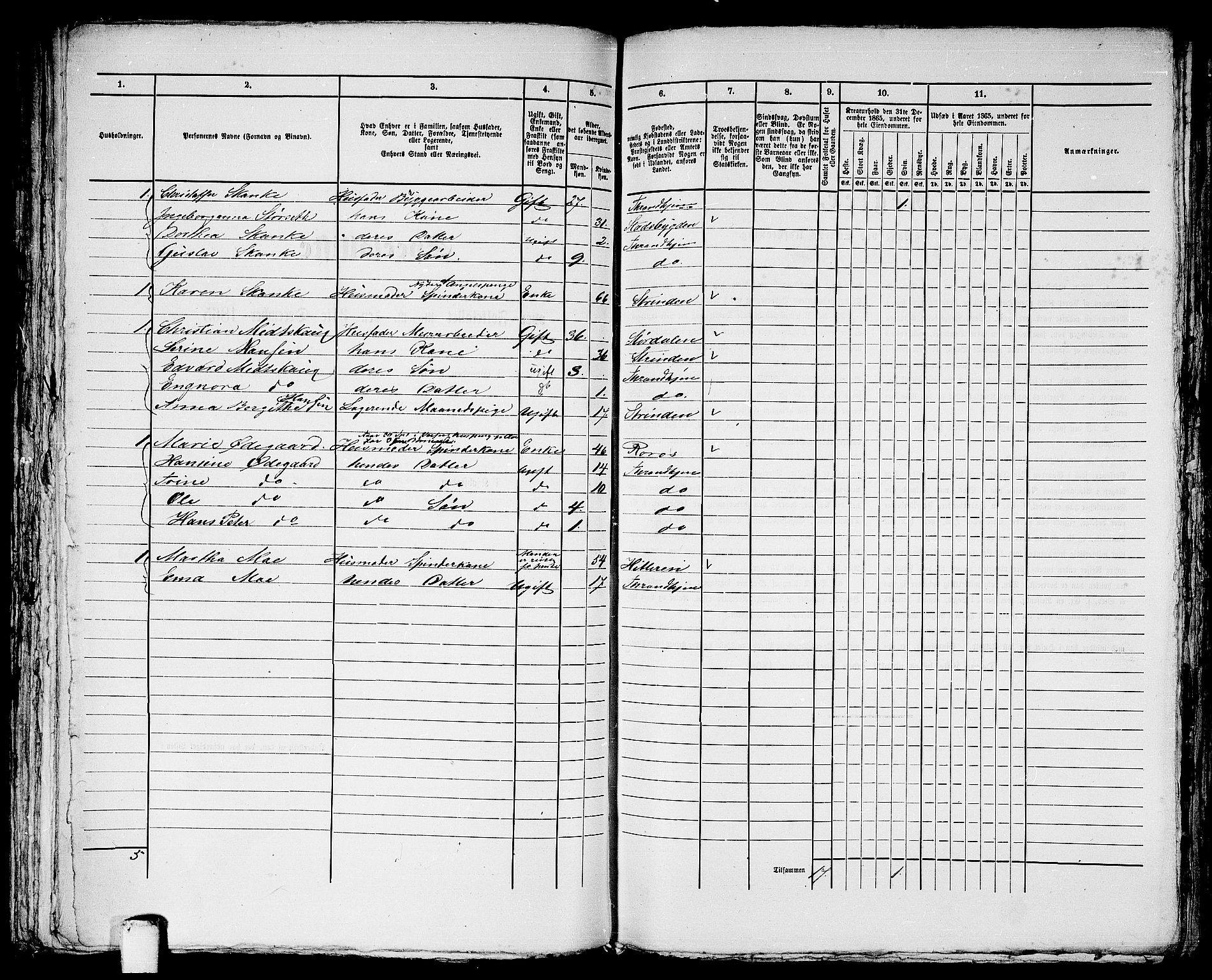 RA, 1865 census for Trondheim, 1865, p. 2884