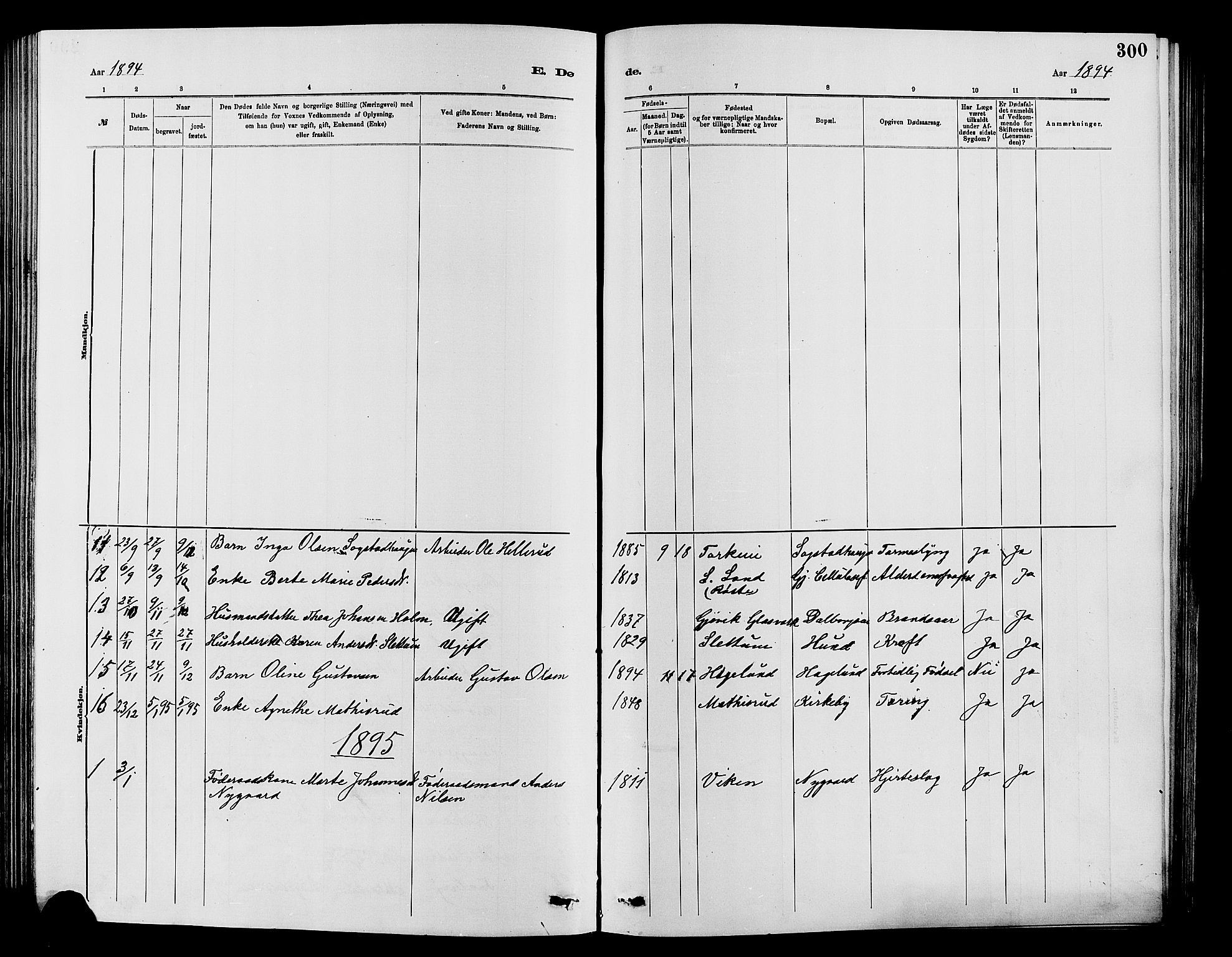 Vardal prestekontor, SAH/PREST-100/H/Ha/Hab/L0007: Parish register (copy) no. 7 /1, 1881-1895, p. 300