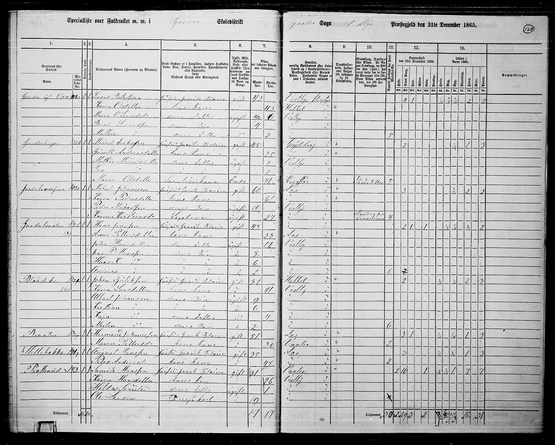 RA, 1865 census for Vestby, 1865, p. 140