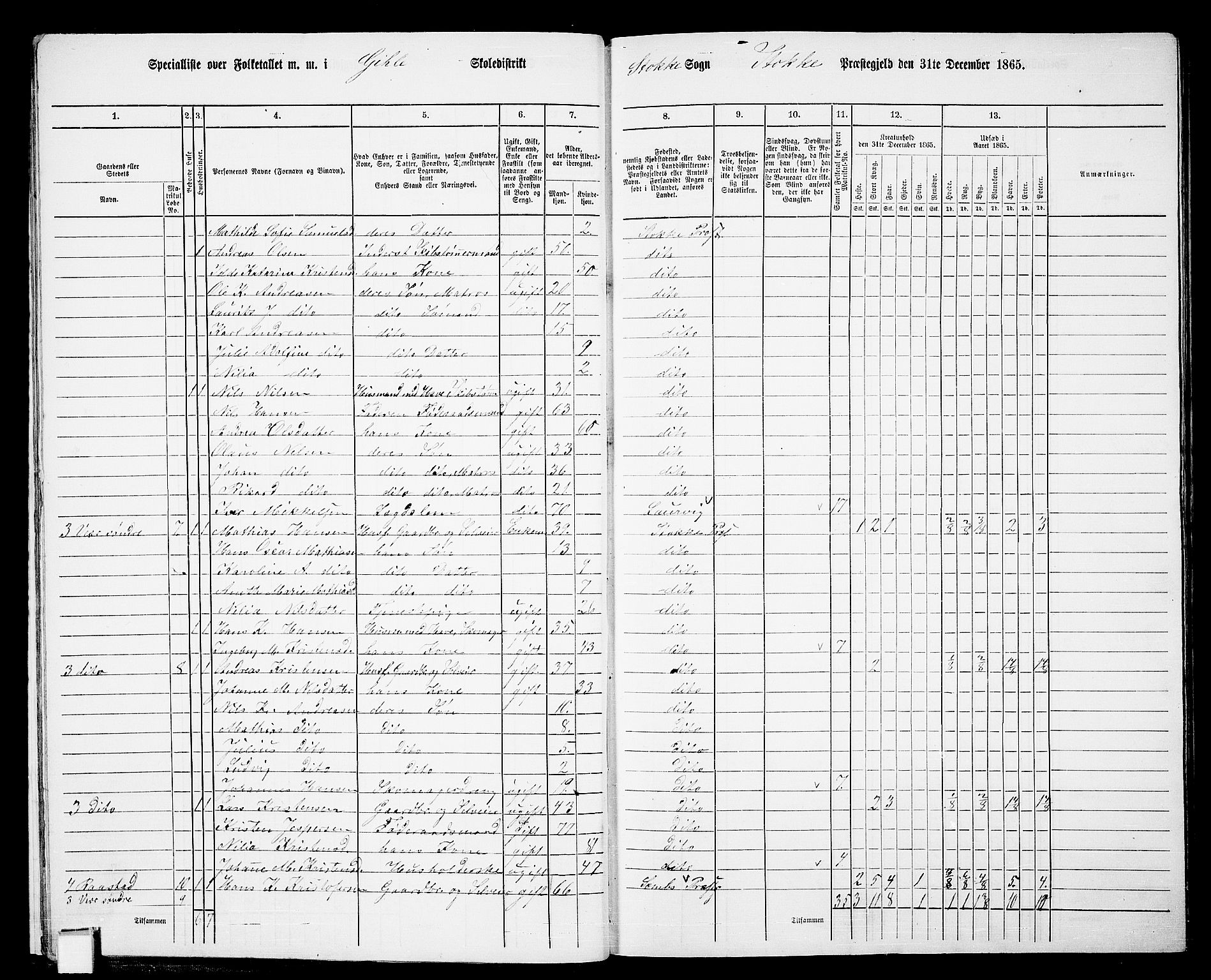 RA, 1865 census for Stokke, 1865, p. 17