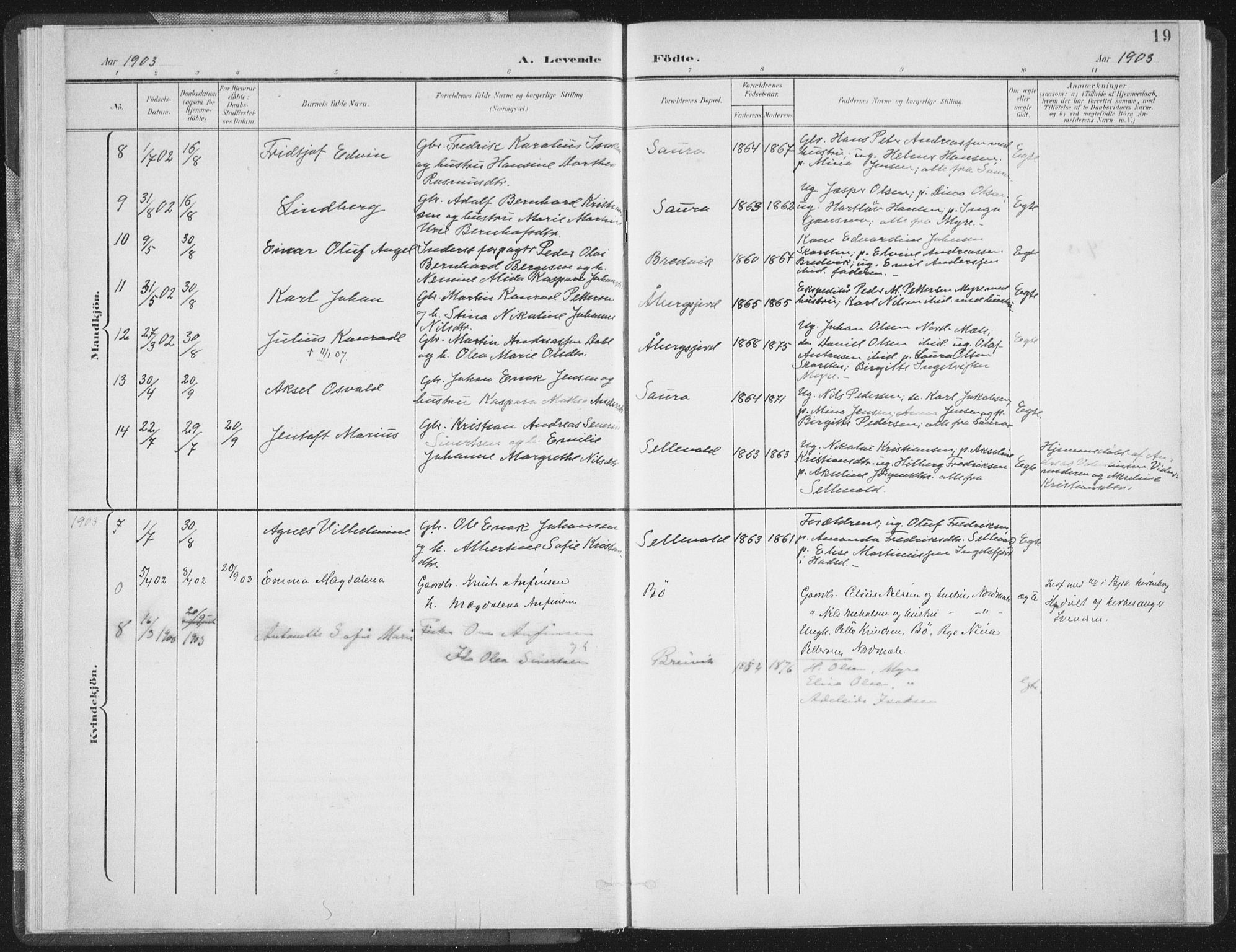 Ministerialprotokoller, klokkerbøker og fødselsregistre - Nordland, SAT/A-1459/897/L1400: Parish register (official) no. 897A07, 1897-1908, p. 19