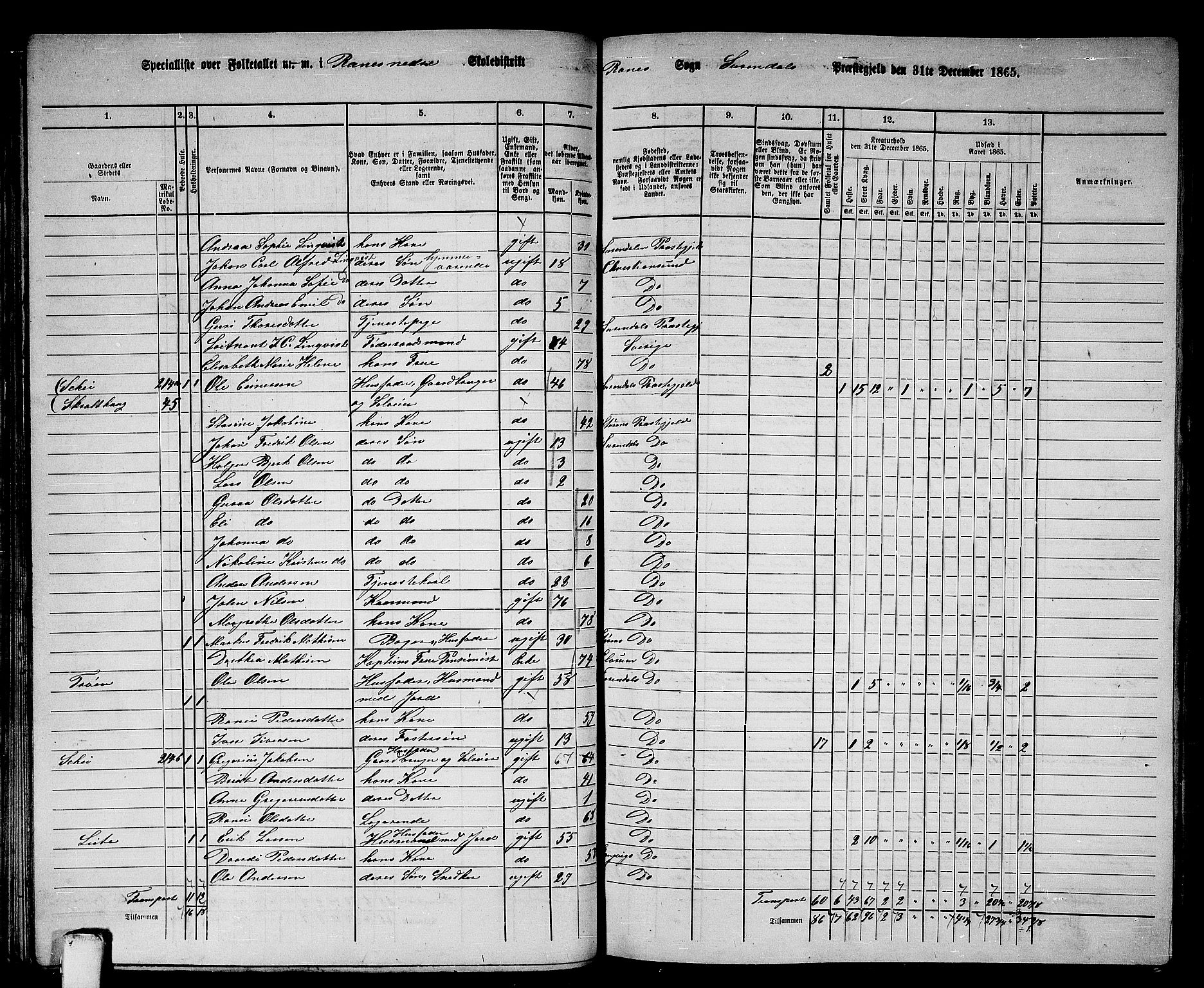 RA, 1865 census for Surnadal, 1865, p. 81