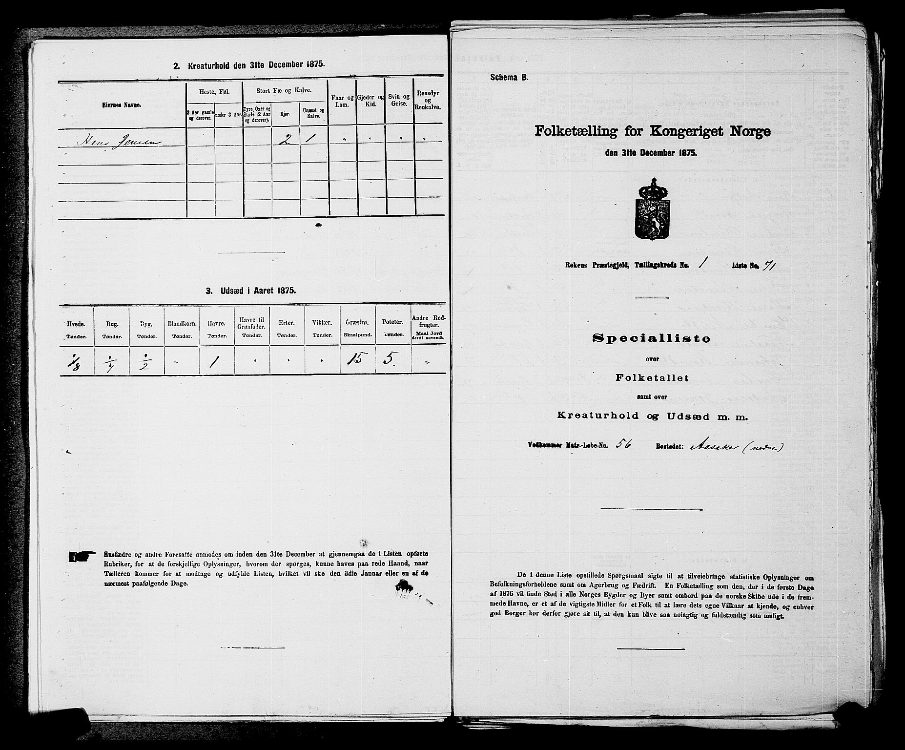 SAKO, 1875 census for 0627P Røyken, 1875, p. 53