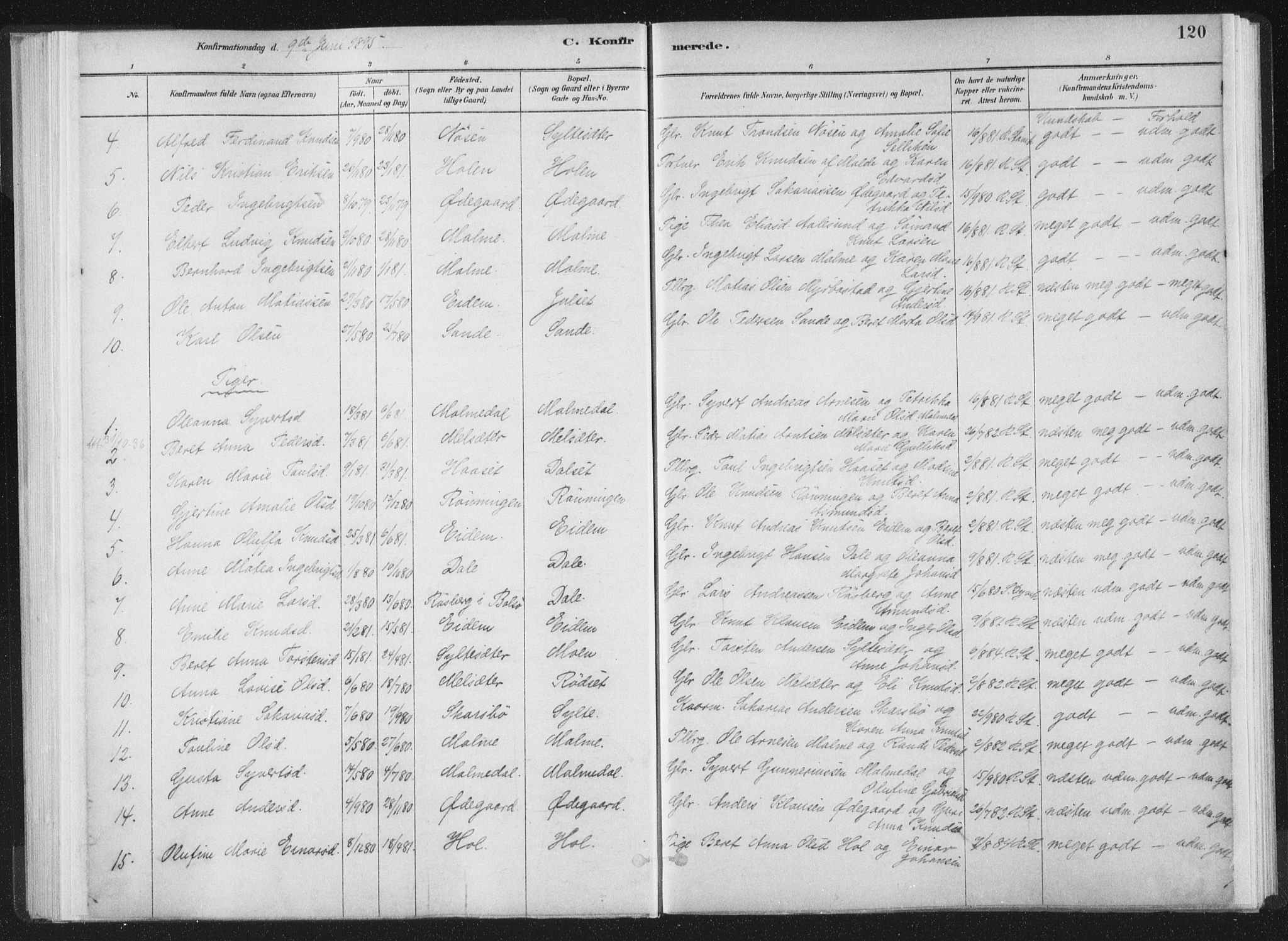 Ministerialprotokoller, klokkerbøker og fødselsregistre - Møre og Romsdal, AV/SAT-A-1454/564/L0740: Parish register (official) no. 564A01, 1880-1899, p. 120