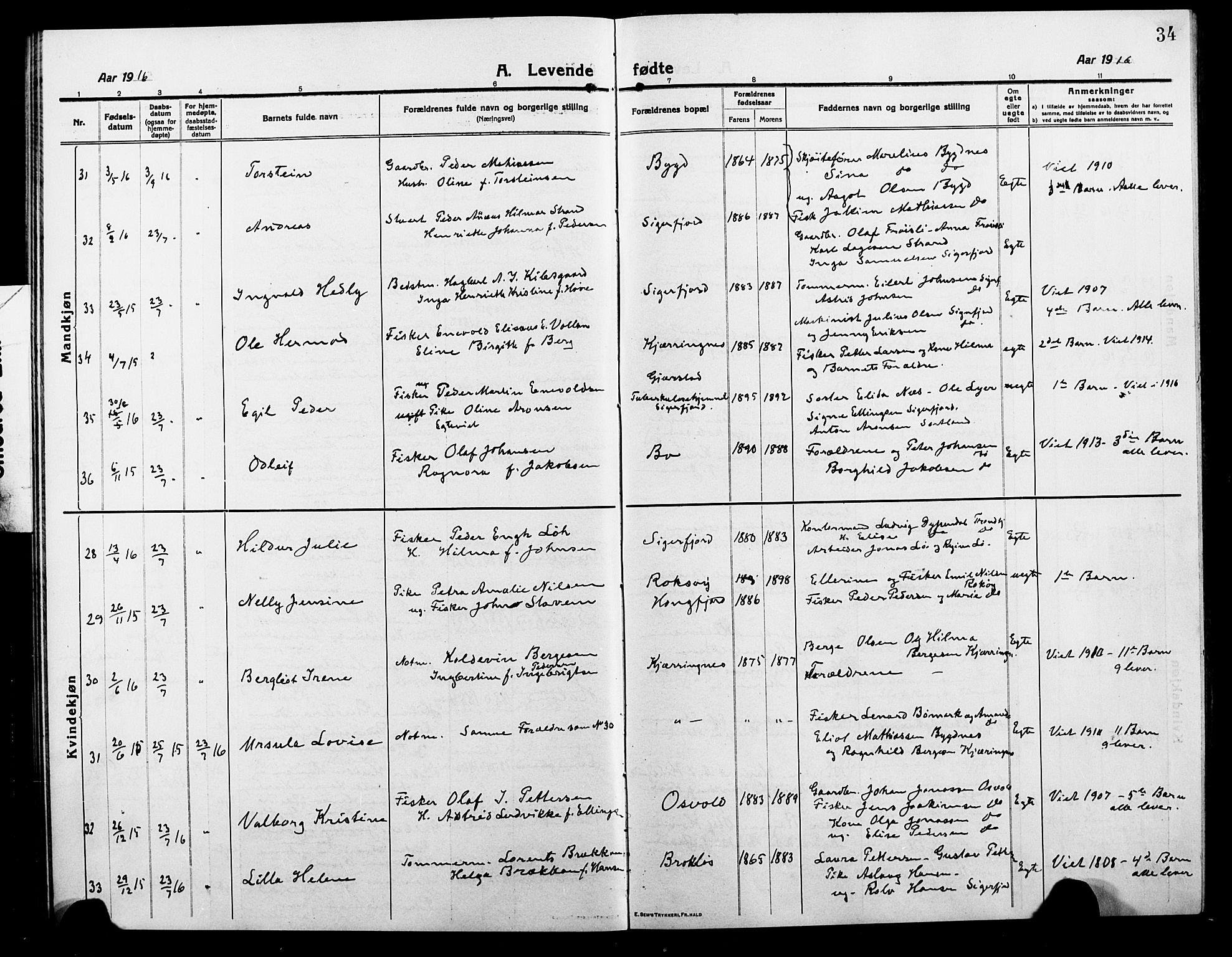 Ministerialprotokoller, klokkerbøker og fødselsregistre - Nordland, SAT/A-1459/895/L1383: Parish register (copy) no. 895C05, 1913-1922, p. 34