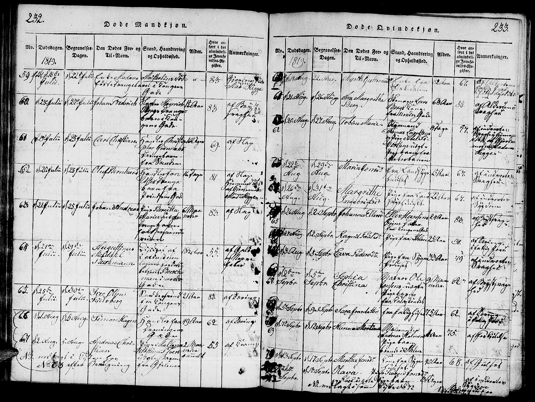Ministerialprotokoller, klokkerbøker og fødselsregistre - Sør-Trøndelag, SAT/A-1456/601/L0043: Parish register (official) no. 601A11, 1815-1821, p. 232-233