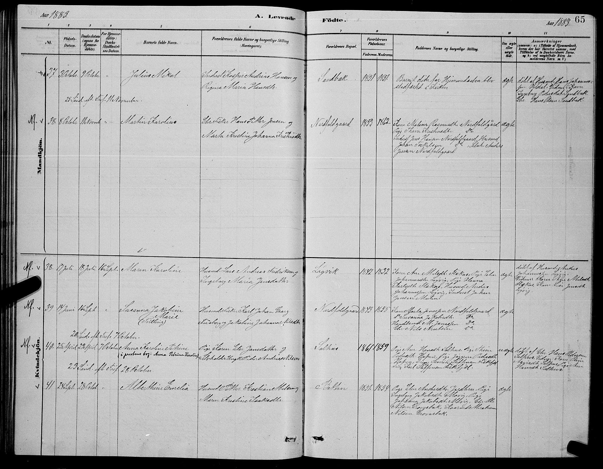 Ministerialprotokoller, klokkerbøker og fødselsregistre - Nordland, AV/SAT-A-1459/853/L0776: Parish register (copy) no. 853C04, 1878-1889, p. 65