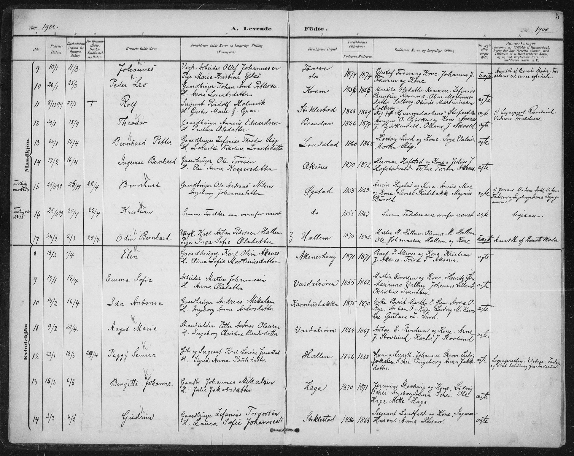 Ministerialprotokoller, klokkerbøker og fødselsregistre - Nord-Trøndelag, SAT/A-1458/723/L0246: Parish register (official) no. 723A15, 1900-1917, p. 5