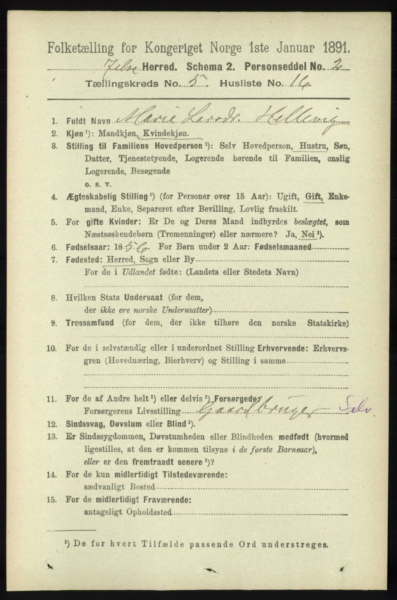 RA, 1891 census for 1138 Jelsa, 1891, p. 1138