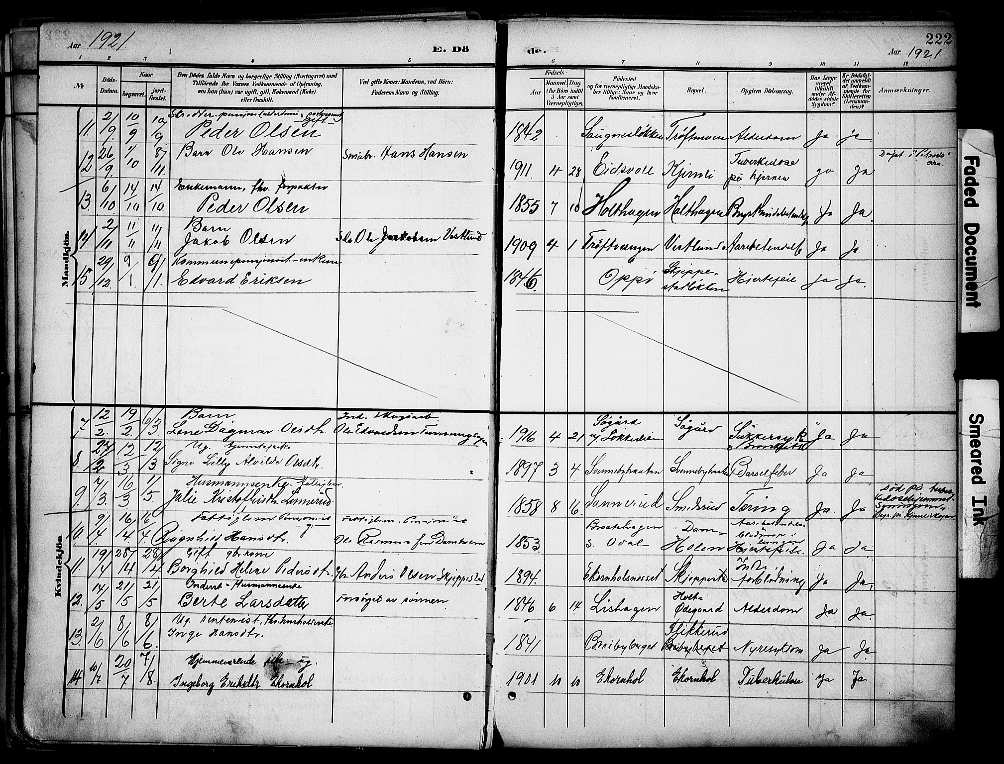 Nord-Odal prestekontor, SAH/PREST-032/H/Ha/Haa/L0007: Parish register (official) no. 7, 1902-1926, p. 222