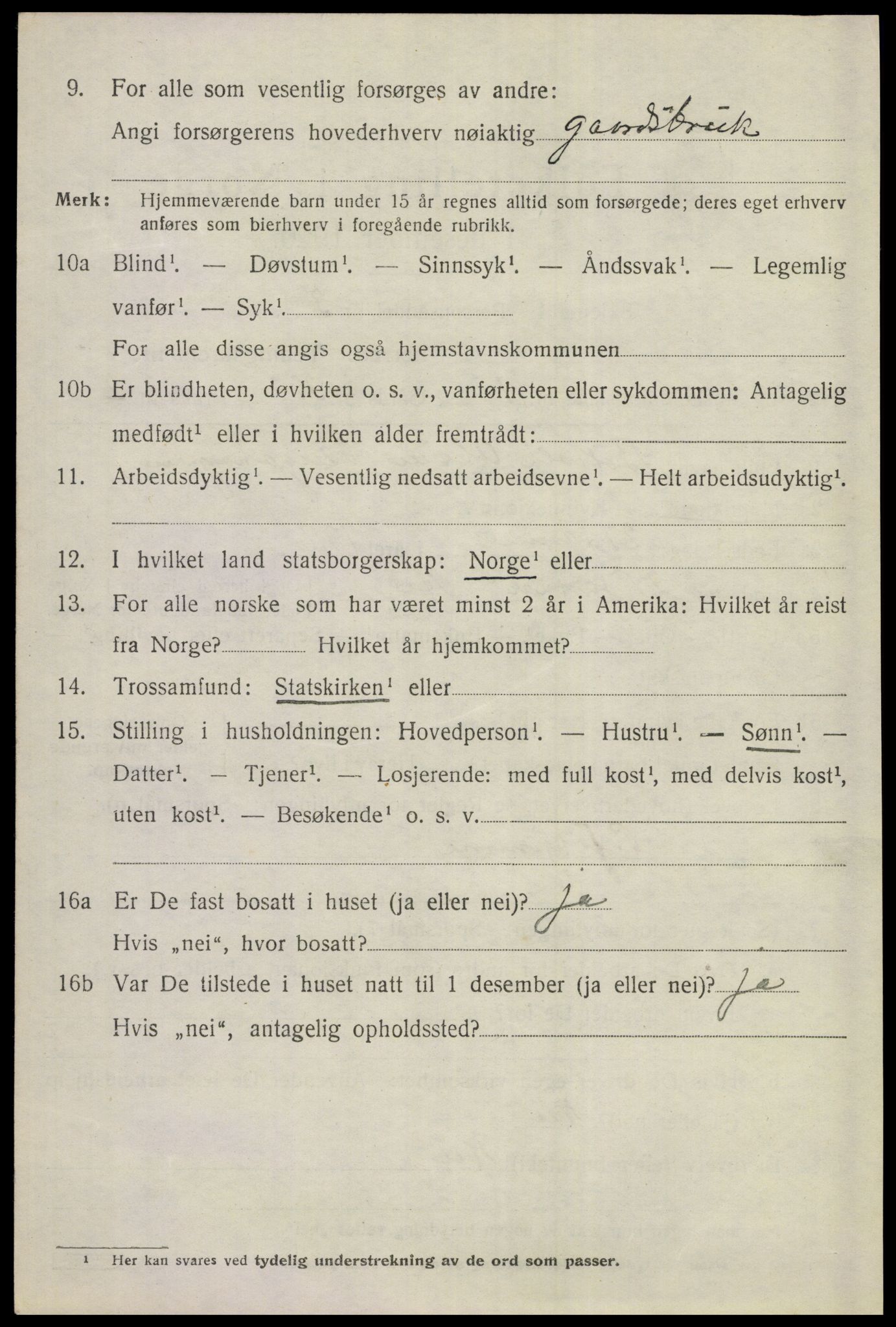 SAKO, 1920 census for Ål, 1920, p. 3877