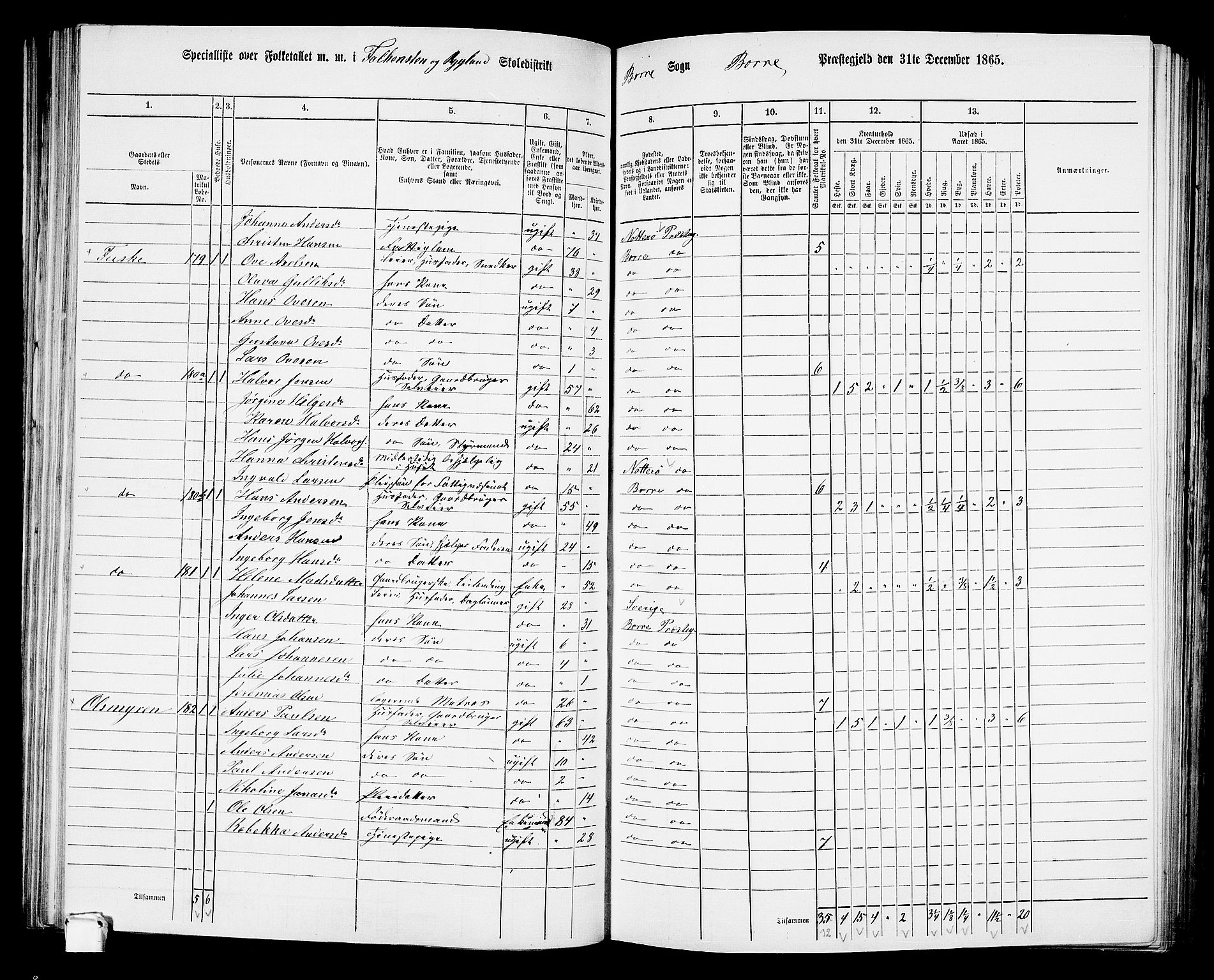 RA, 1865 census for Borre, 1865, p. 118