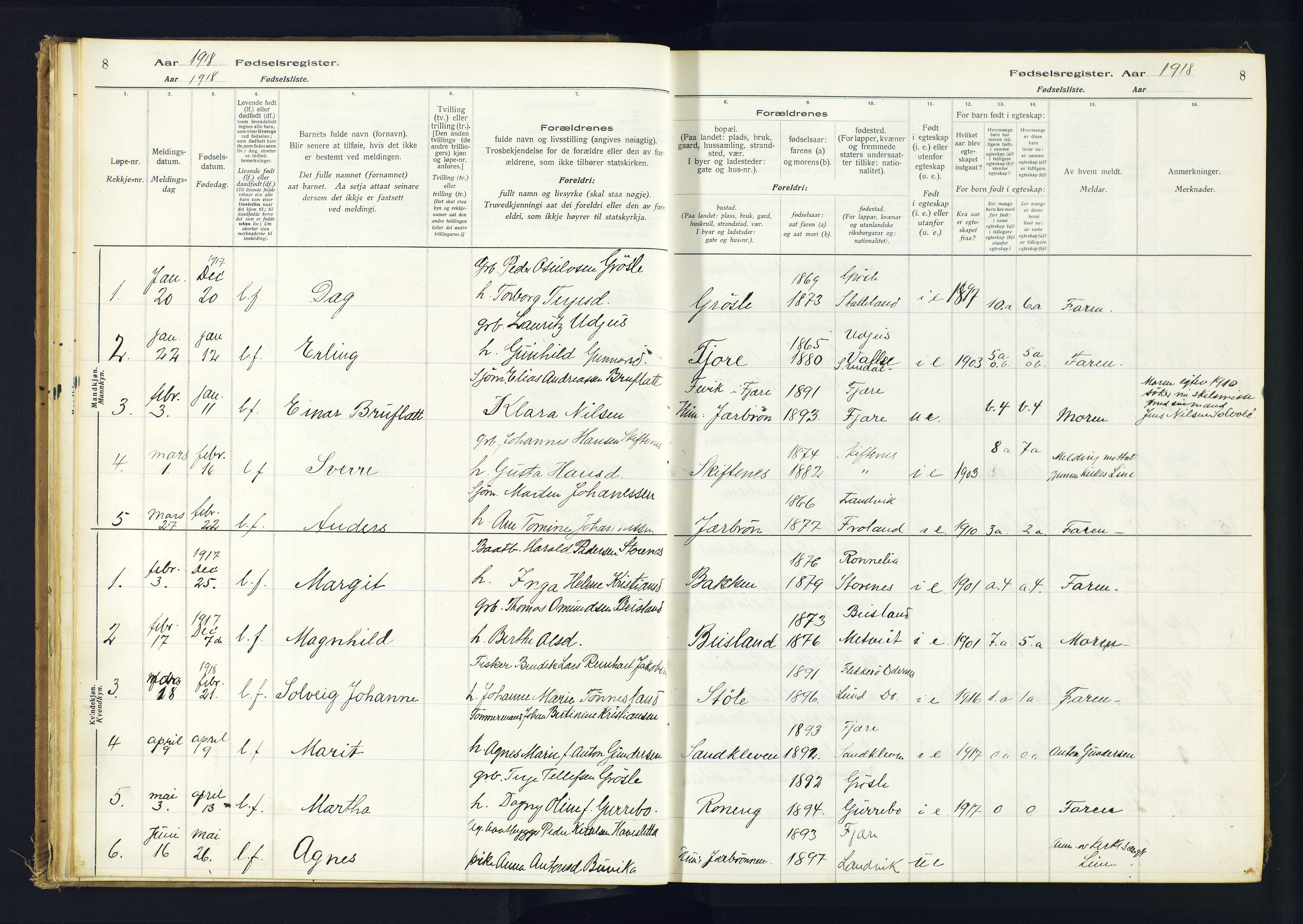 Hommedal sokneprestkontor, AV/SAK-1111-0023/J/Jd/L0001: Birth register no. 1, 1916-1962, p. 8