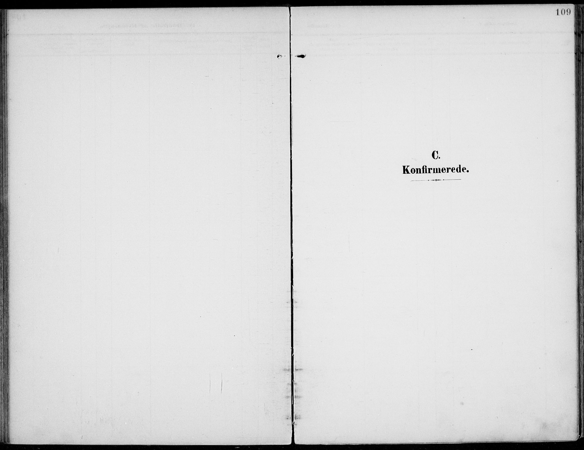 Jevnaker prestekontor, SAH/PREST-116/H/Ha/Haa/L0011: Parish register (official) no. 11, 1902-1913, p. 109
