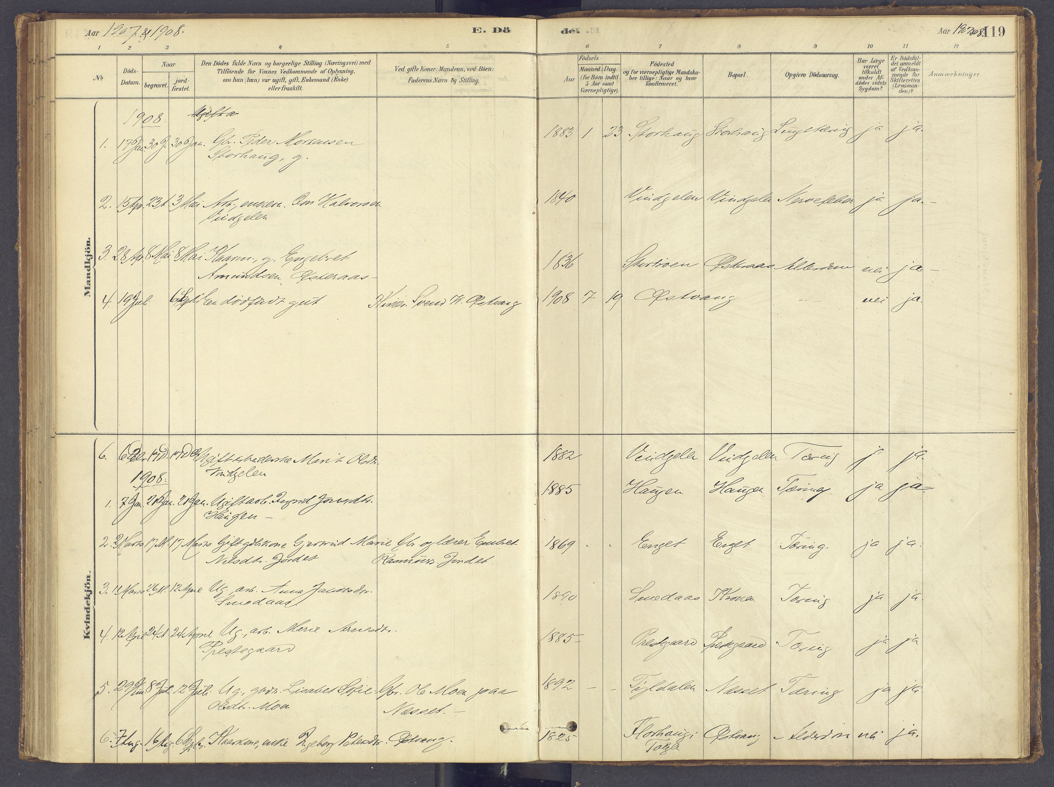 Tolga prestekontor, SAH/PREST-062/K/L0012: Parish register (official) no. 12, 1877-1925, p. 119