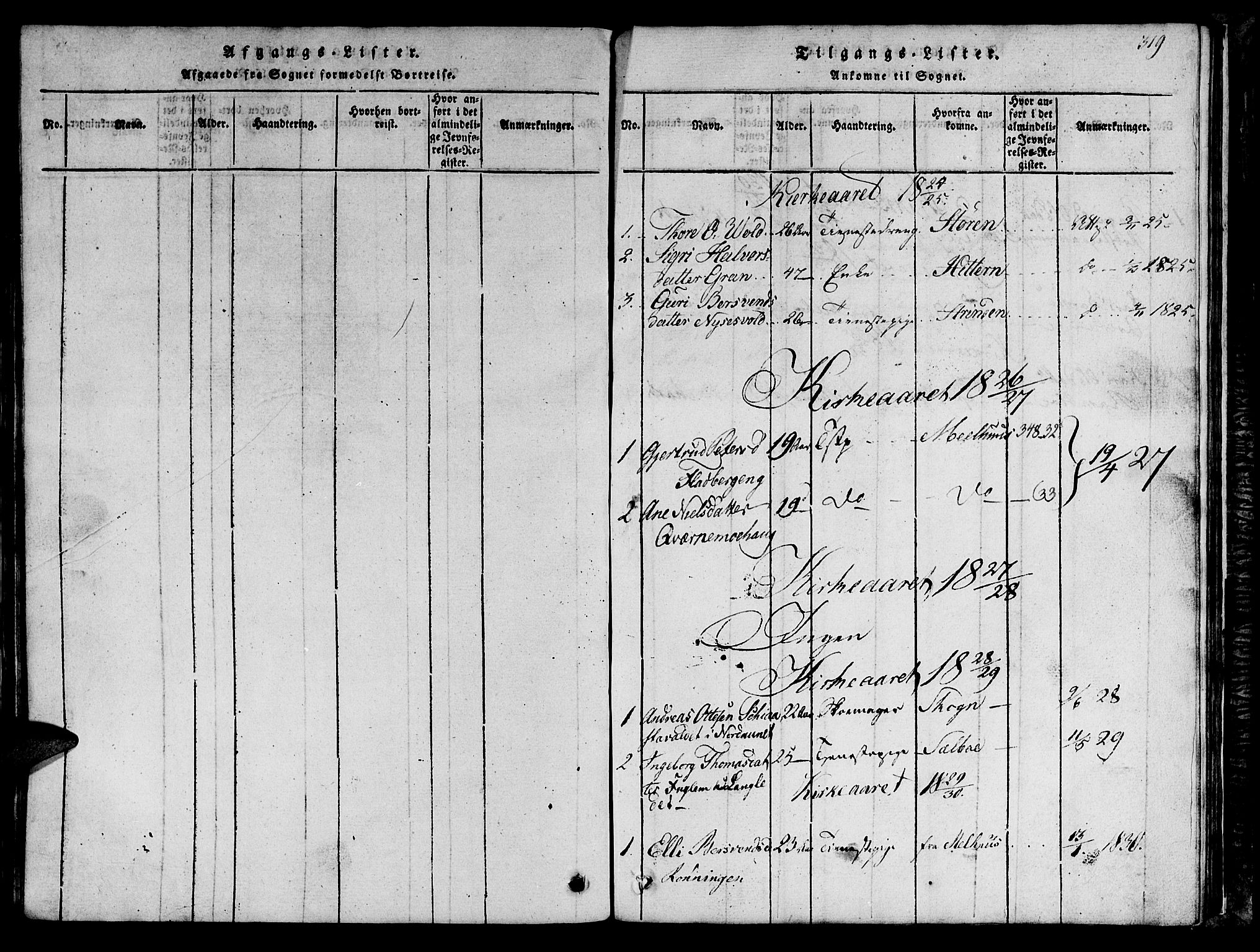 Ministerialprotokoller, klokkerbøker og fødselsregistre - Sør-Trøndelag, SAT/A-1456/685/L0976: Parish register (copy) no. 685C01, 1817-1878, p. 319
