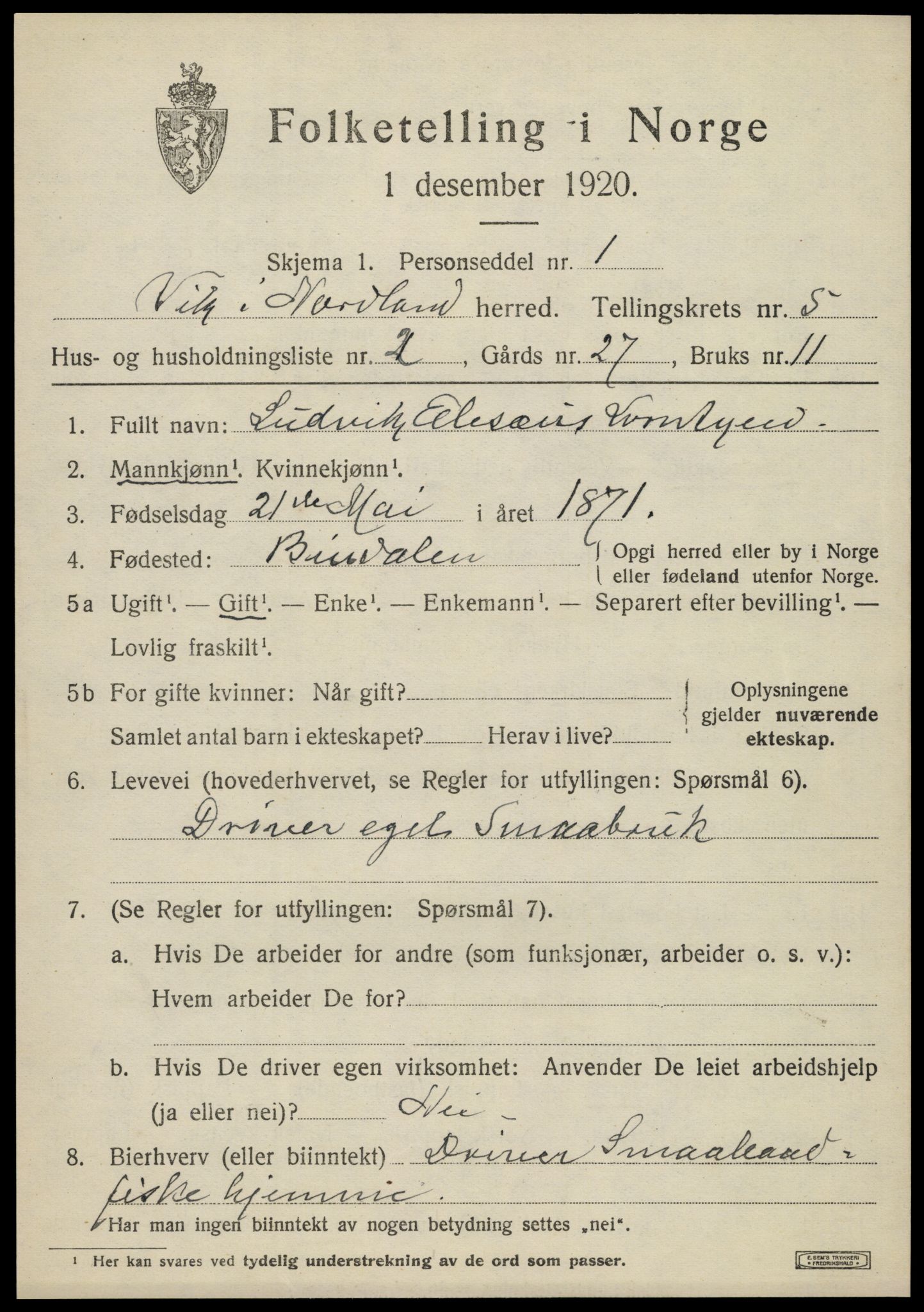 SAT, 1920 census for Vik, 1920, p. 2939