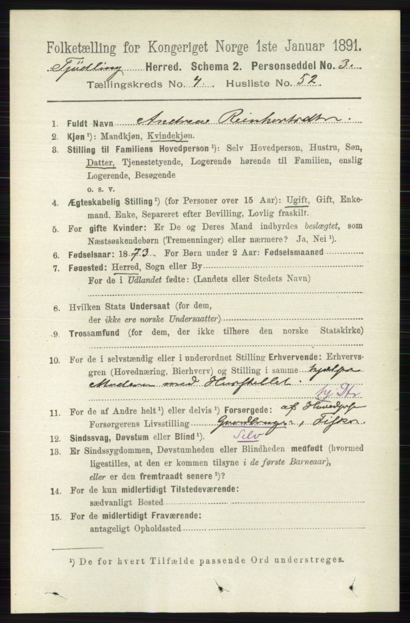 RA, 1891 census for 0725 Tjølling, 1891, p. 1743