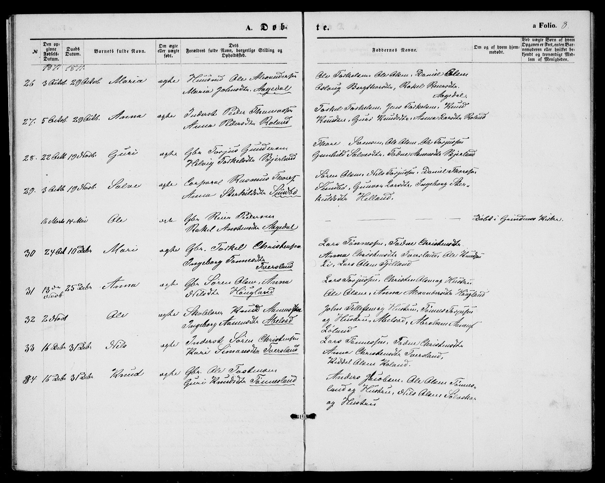 Bjelland sokneprestkontor, AV/SAK-1111-0005/F/Fb/Fba/L0004: Parish register (copy) no. B 4, 1869-1886, p. 8