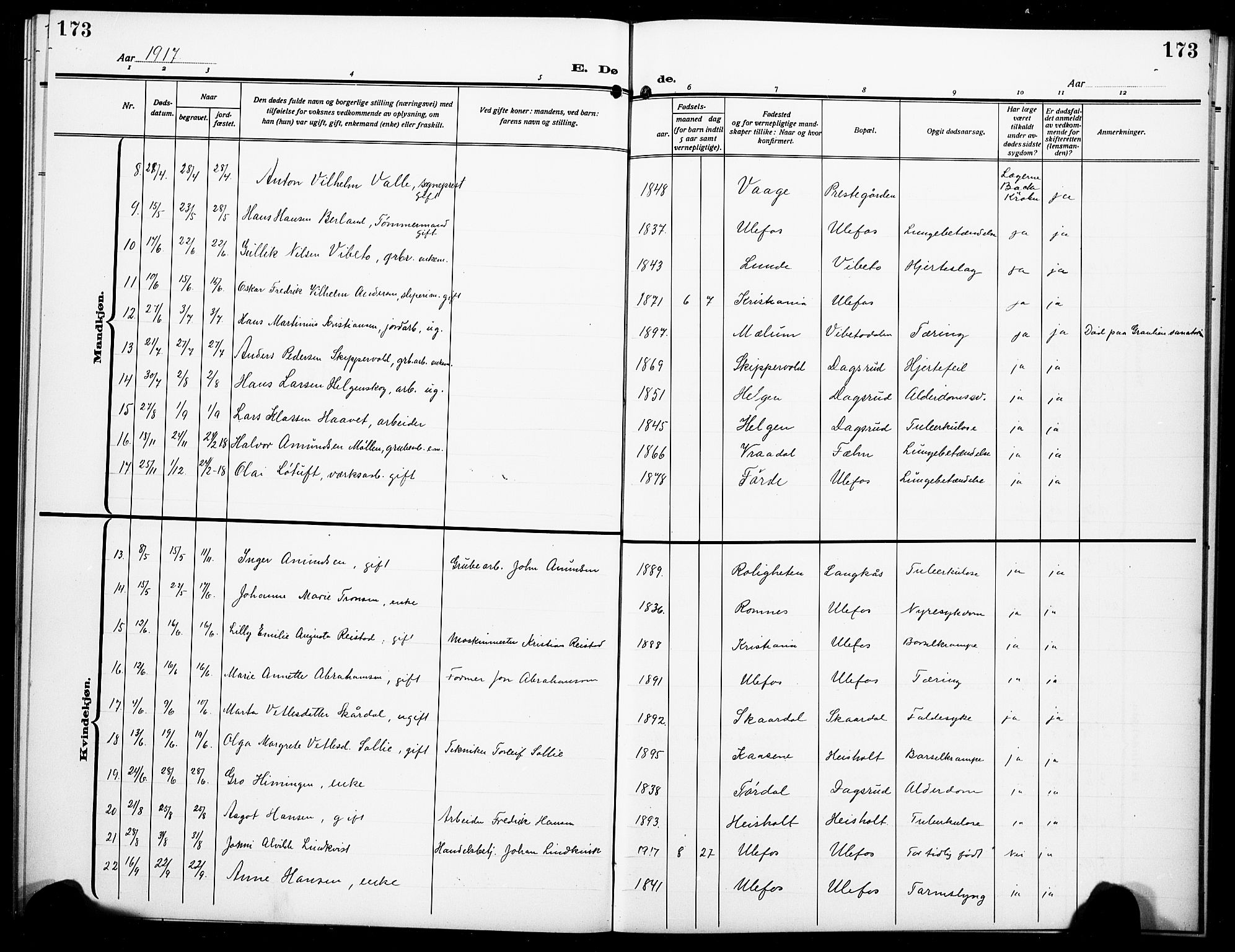 Holla kirkebøker, SAKO/A-272/G/Ga/L0006: Parish register (copy) no. I 6, 1917-1928, p. 173