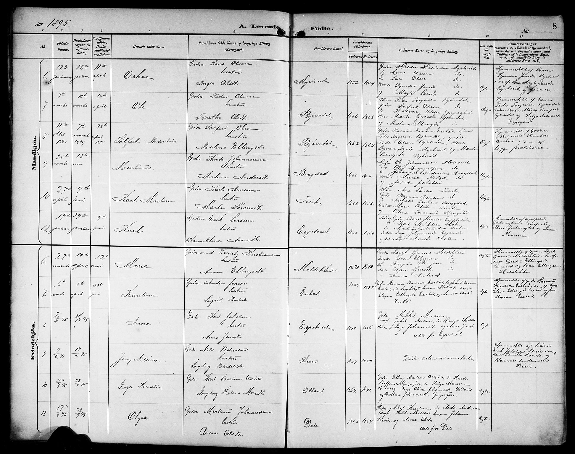 Alversund Sokneprestembete, SAB/A-73901/H/Ha/Hab: Parish register (copy) no. C 4, 1894-1924, p. 8