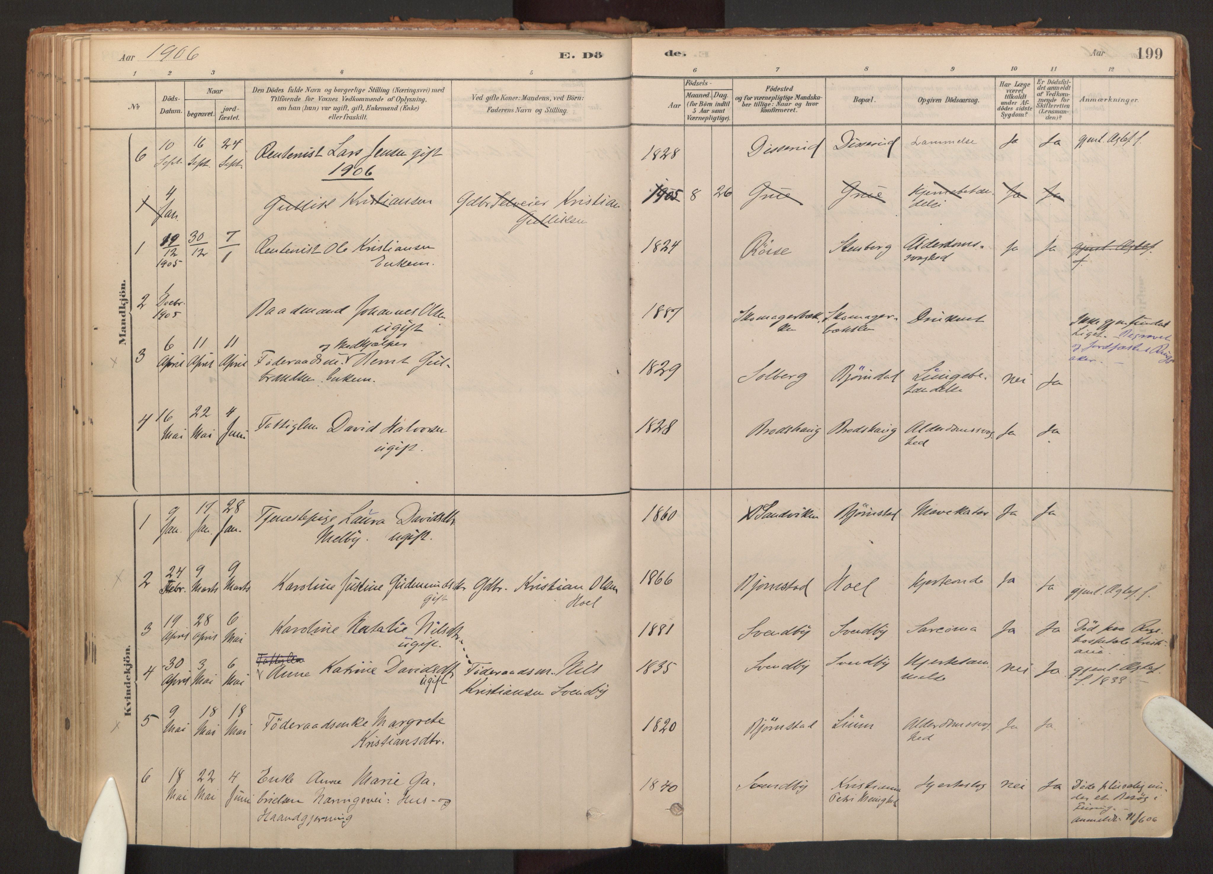 Hurdal prestekontor Kirkebøker, SAO/A-10889/F/Fb/L0003: Parish register (official) no. II 3, 1878-1920, p. 199