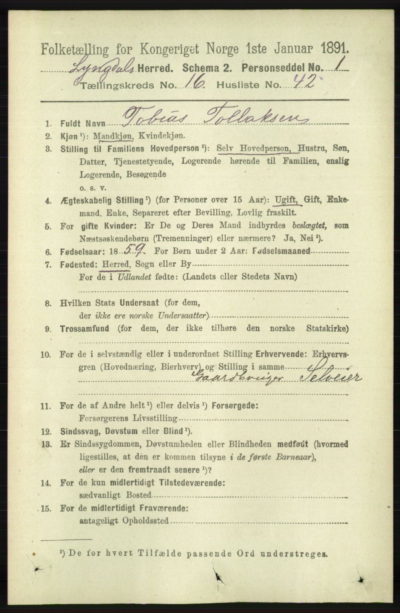 RA, 1891 census for 1032 Lyngdal, 1891, p. 6467