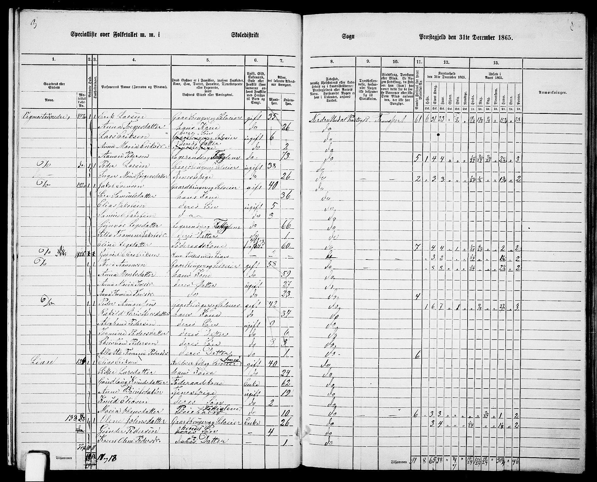 RA, 1865 census for Nord-Audnedal, 1865, p. 14